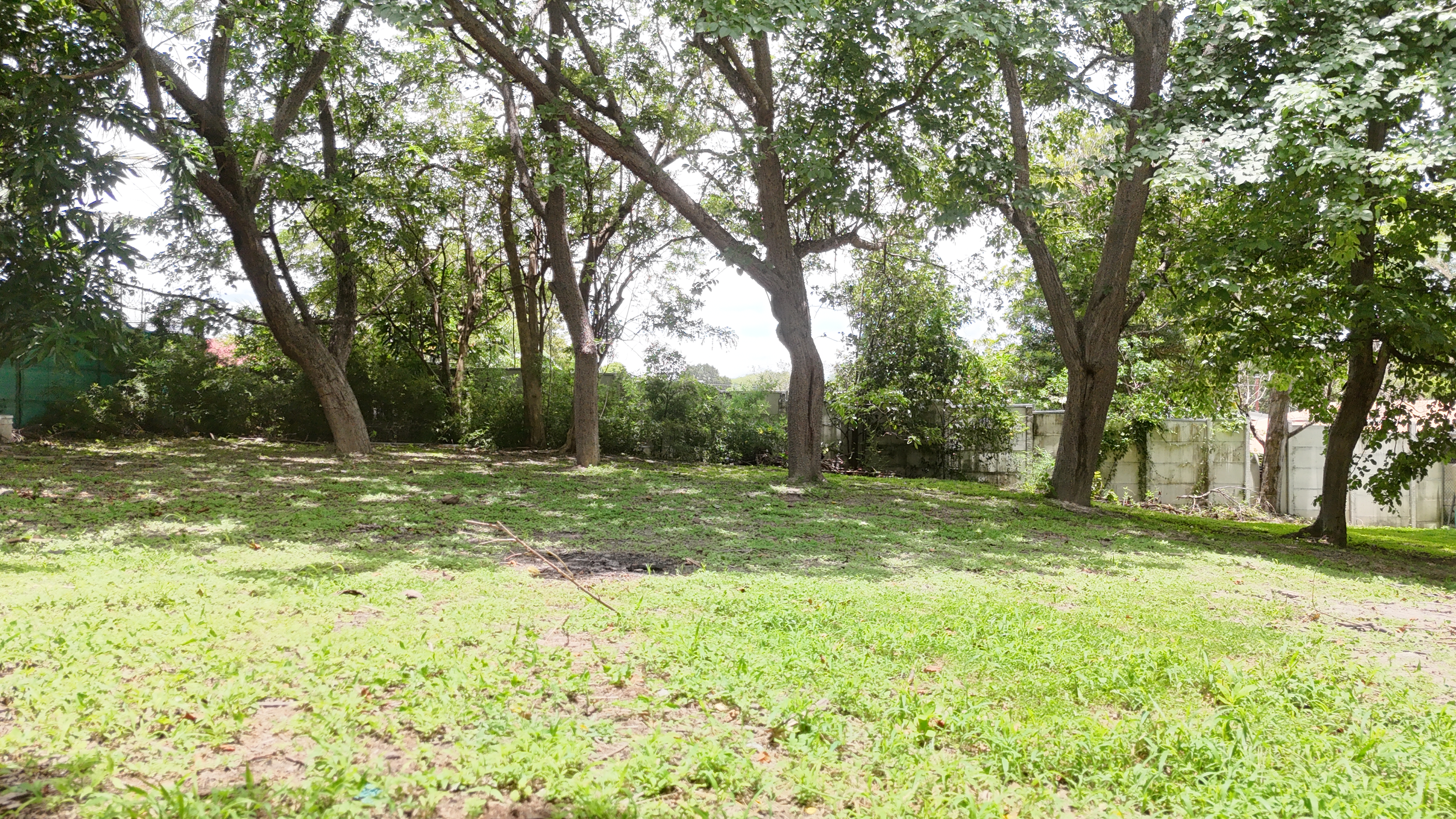 LOTE EN VENTA - LIBERIA | LA CARRETA