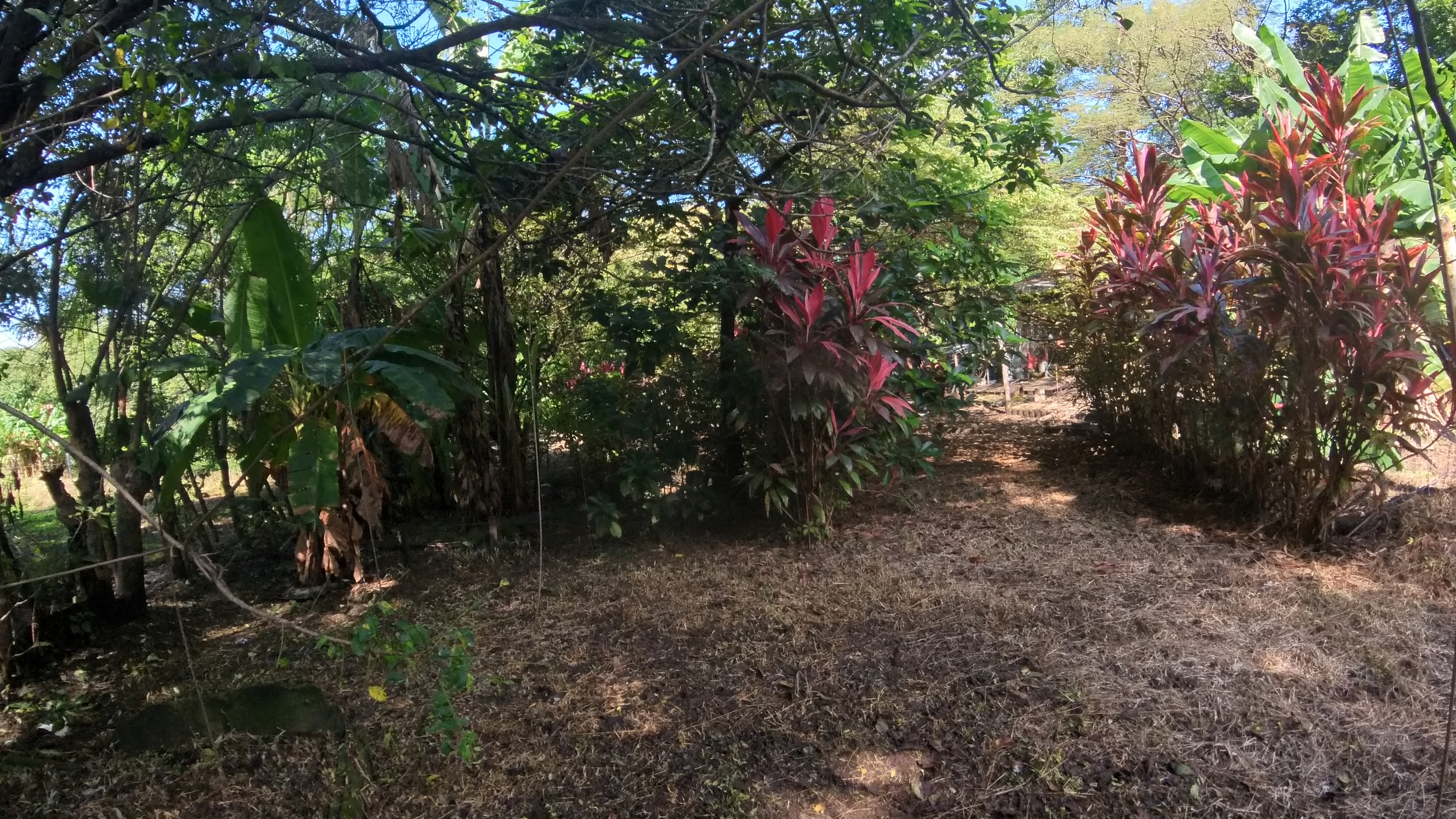 COUNTRY SIDE HOUSE FOR SALE QUINTAS DON MIGUEL - BAGACES