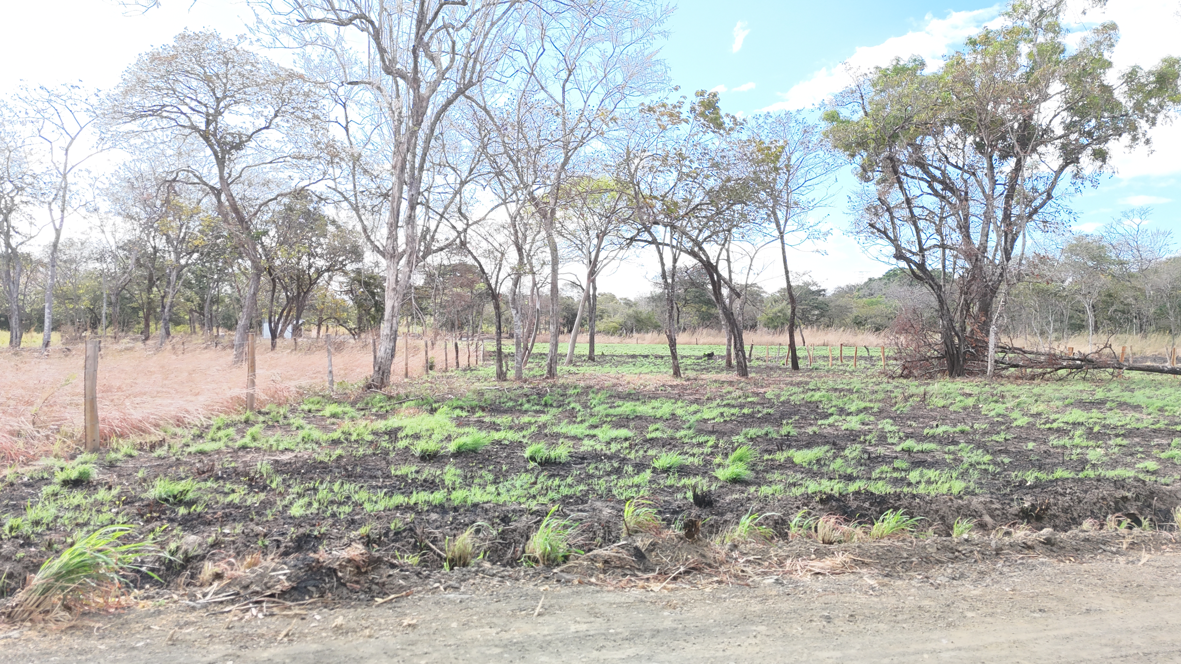 LOTES EN VENTA RODEITO - LIBERIA