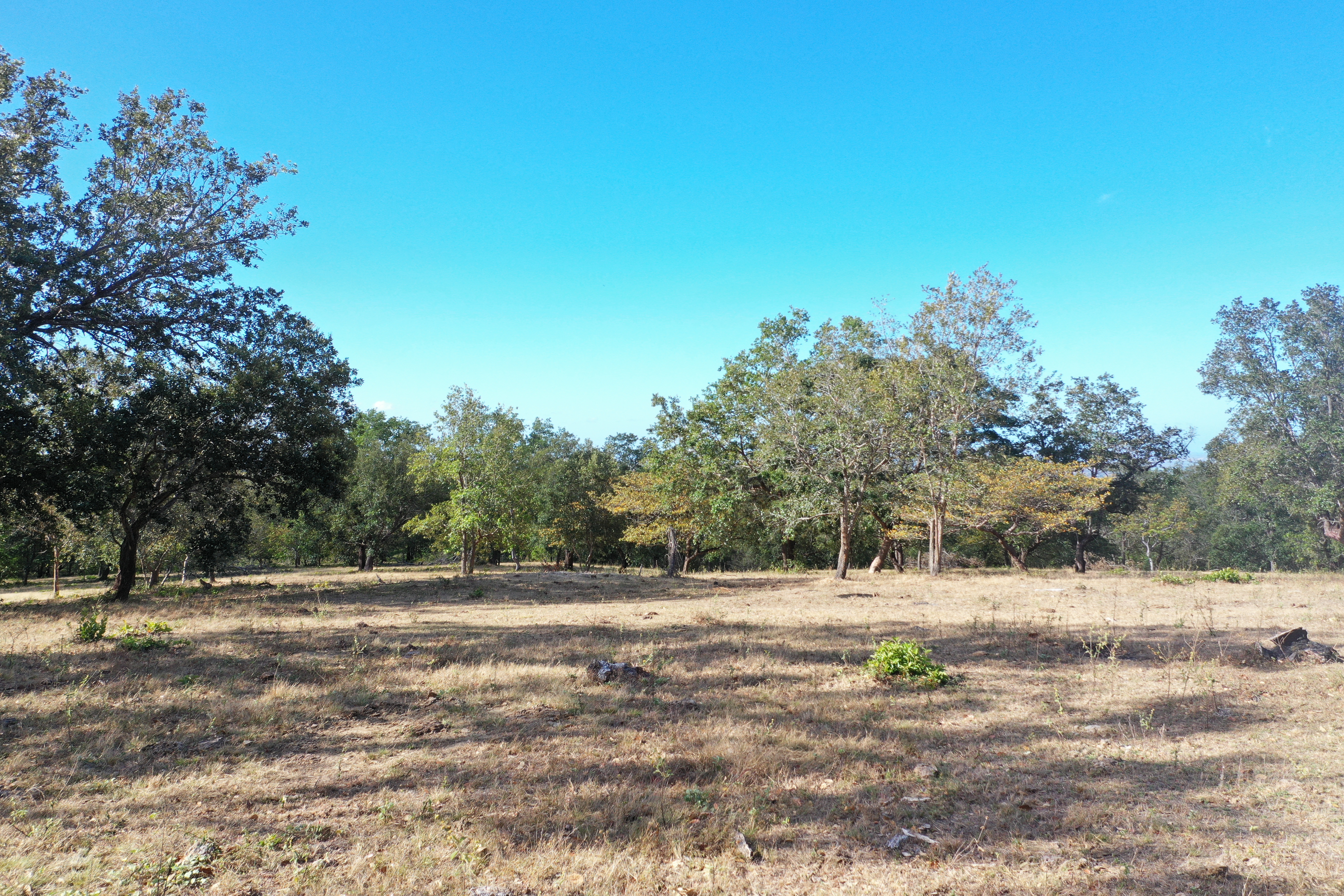 FARM FOR SALE - CURUBANDE | LIBERIA