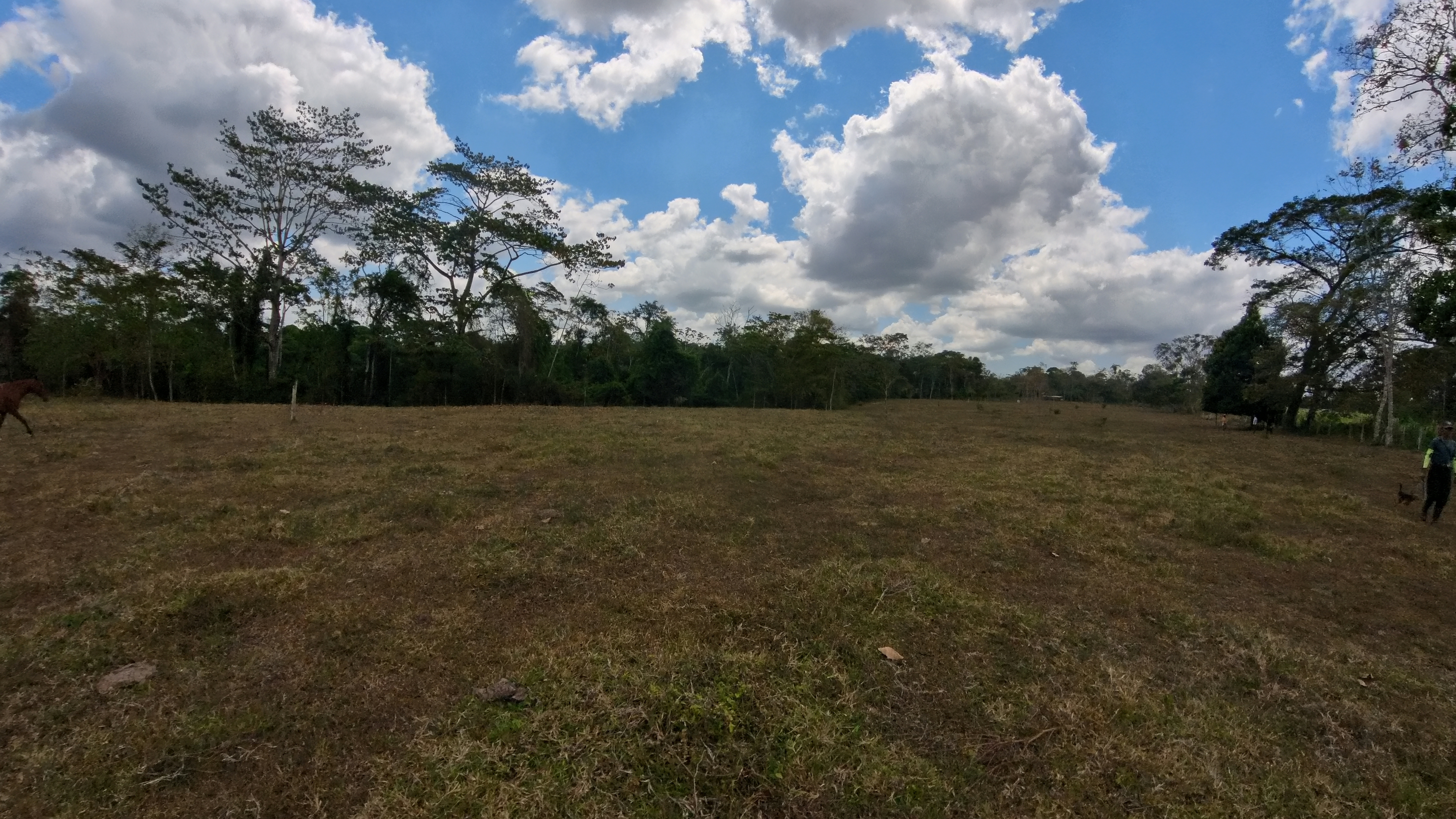 Rosibel Farm, Birdwatching paradise, La Verbena, Upala, Costa Rica