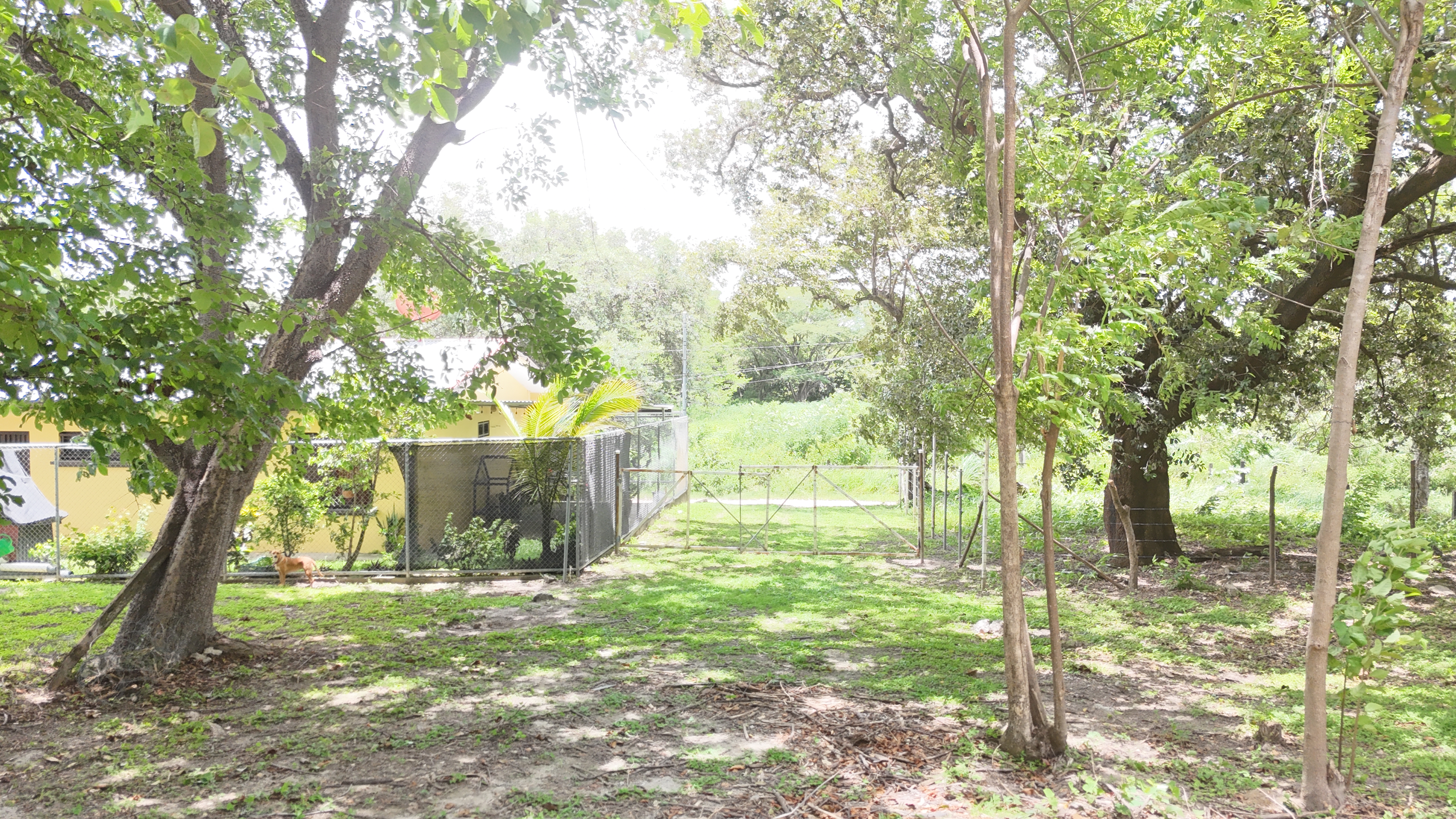 LOTE EN VENTA - LIBERIA | LA CARRETA