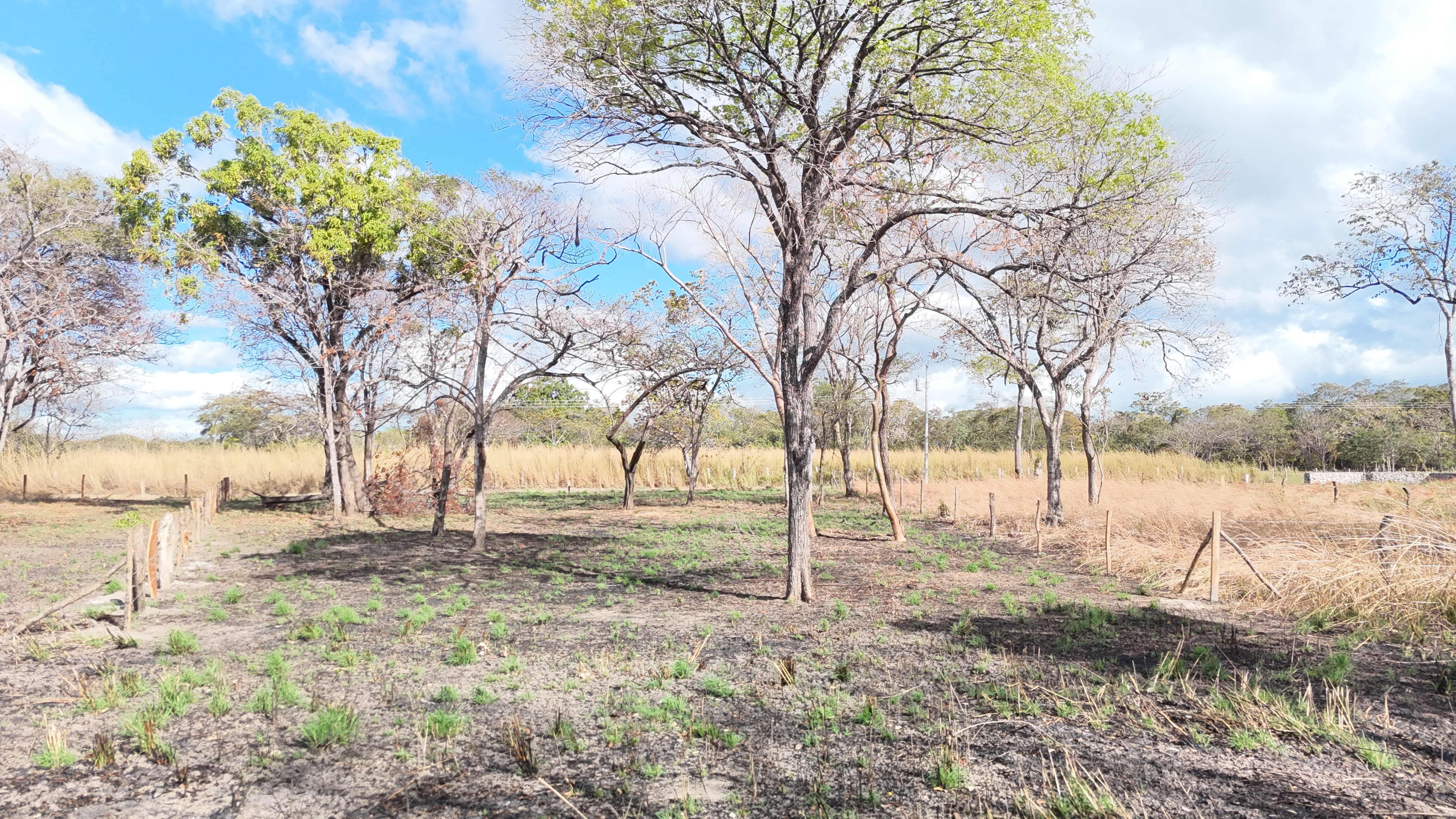 LOTES EN VENTA RODEITO - LIBERIA