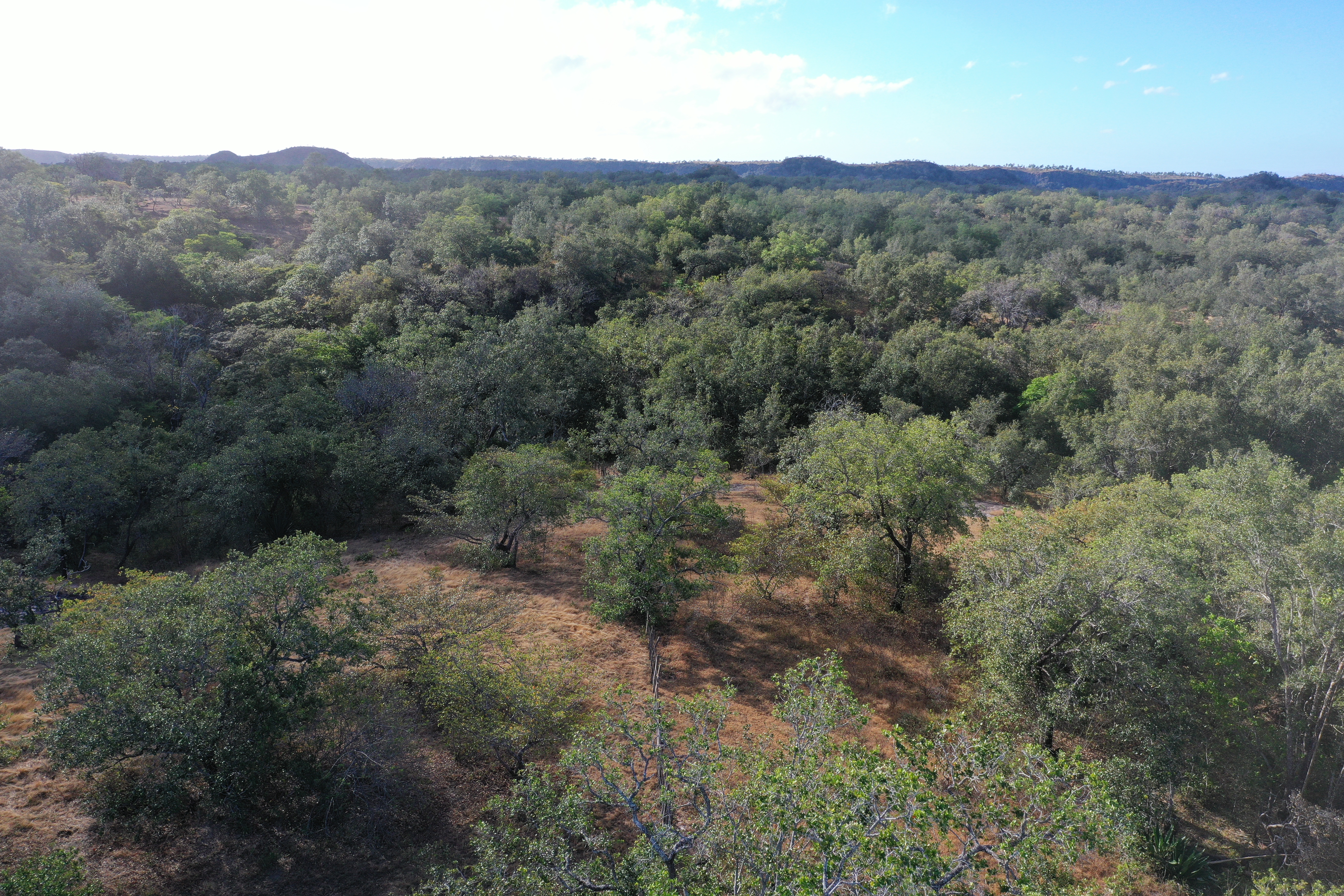 FARM FOR SALE - CURUBANDE | LIBERIA