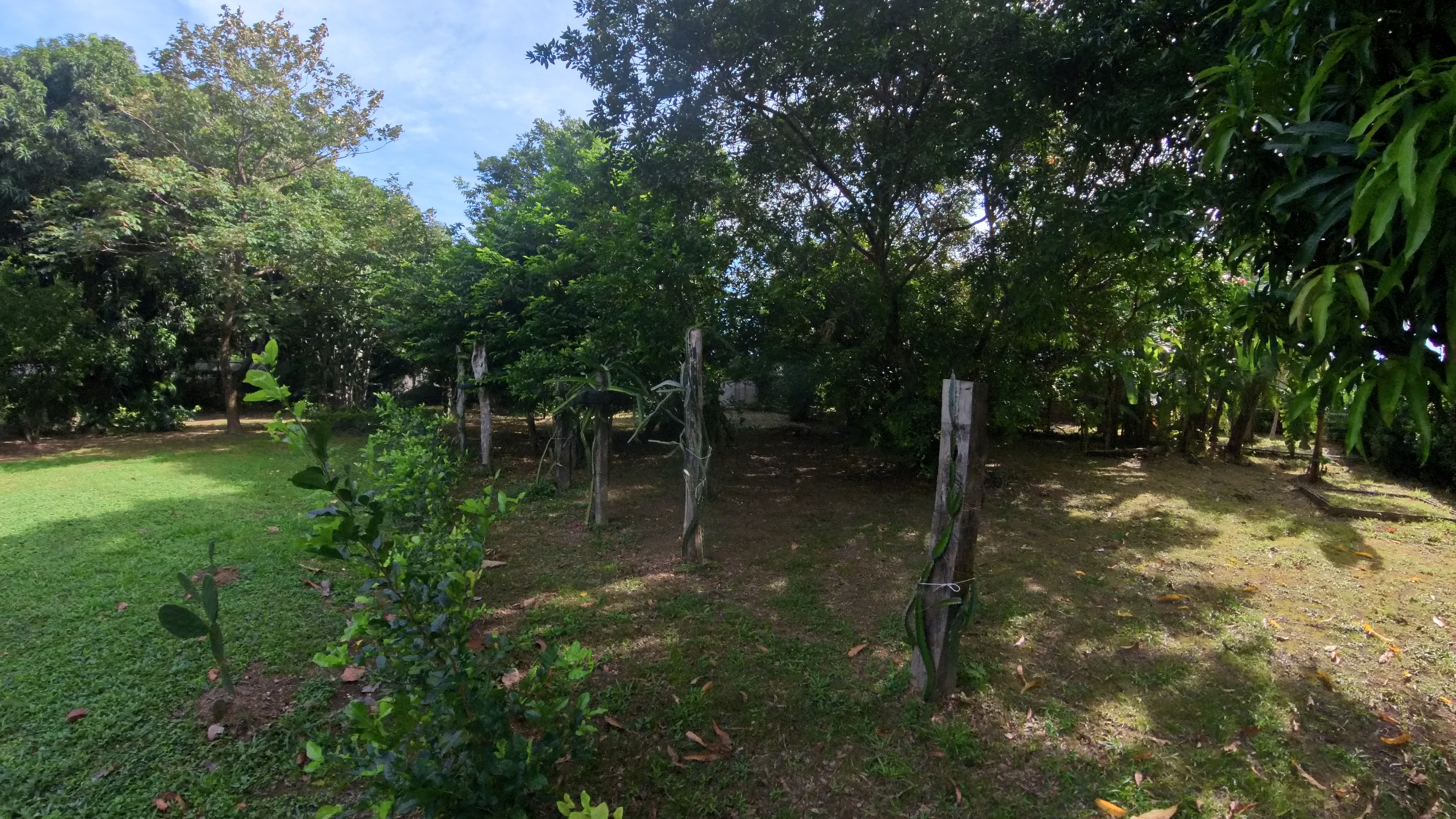 CASA CAMPESTRE EN VENTA - LIBERIA | BARRIO LA CRUZ