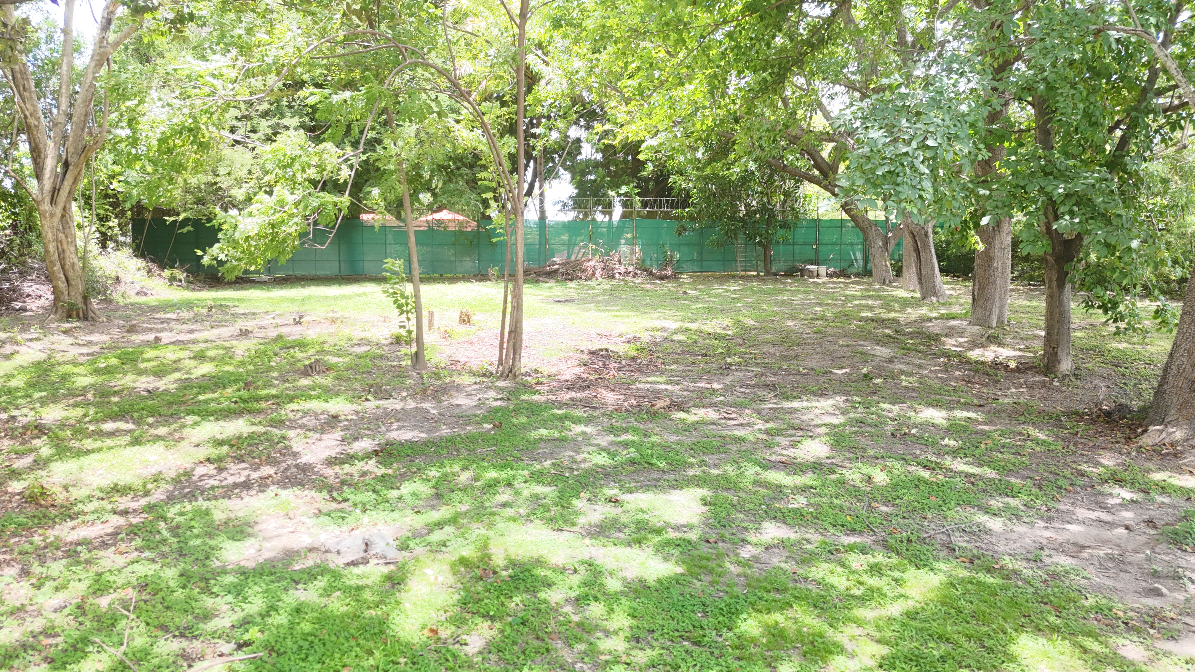 LOTE EN VENTA - LIBERIA | LA CARRETA