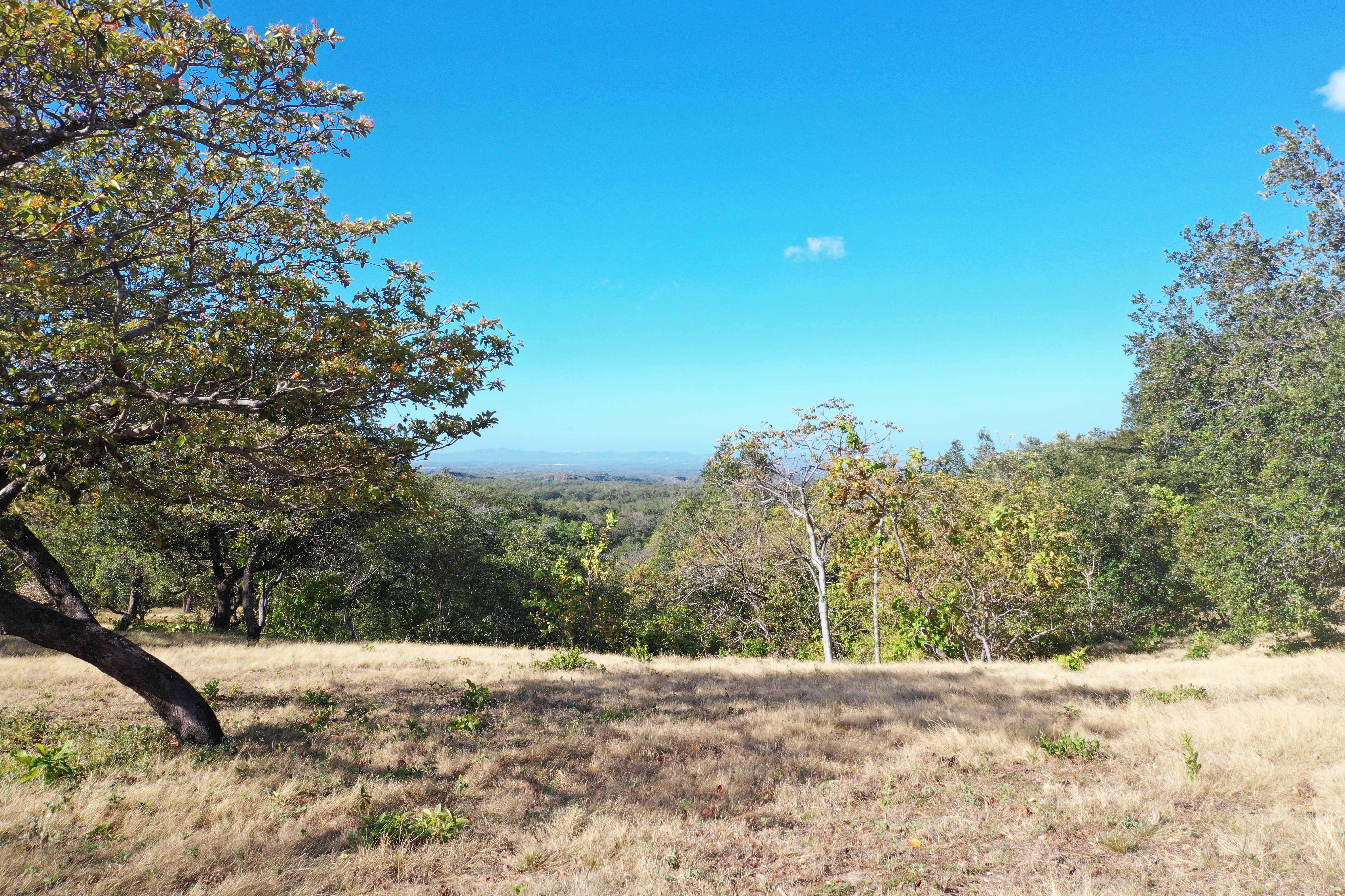 FARM FOR SALE - CURUBANDE | LIBERIA