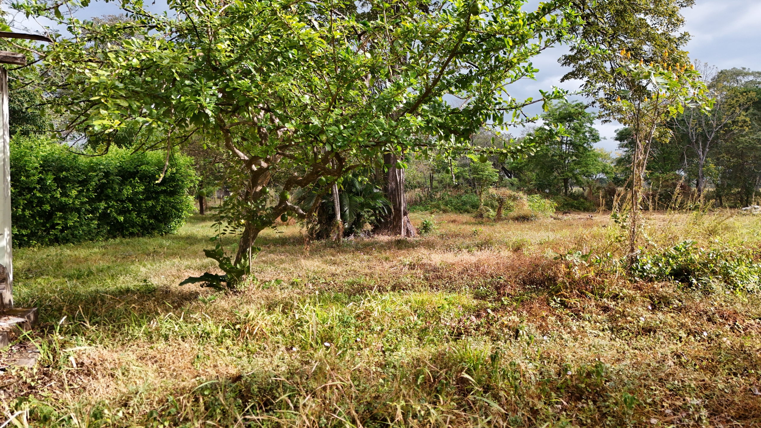 LOTE EN VENTA - LA CARAÑA | LIBERIA