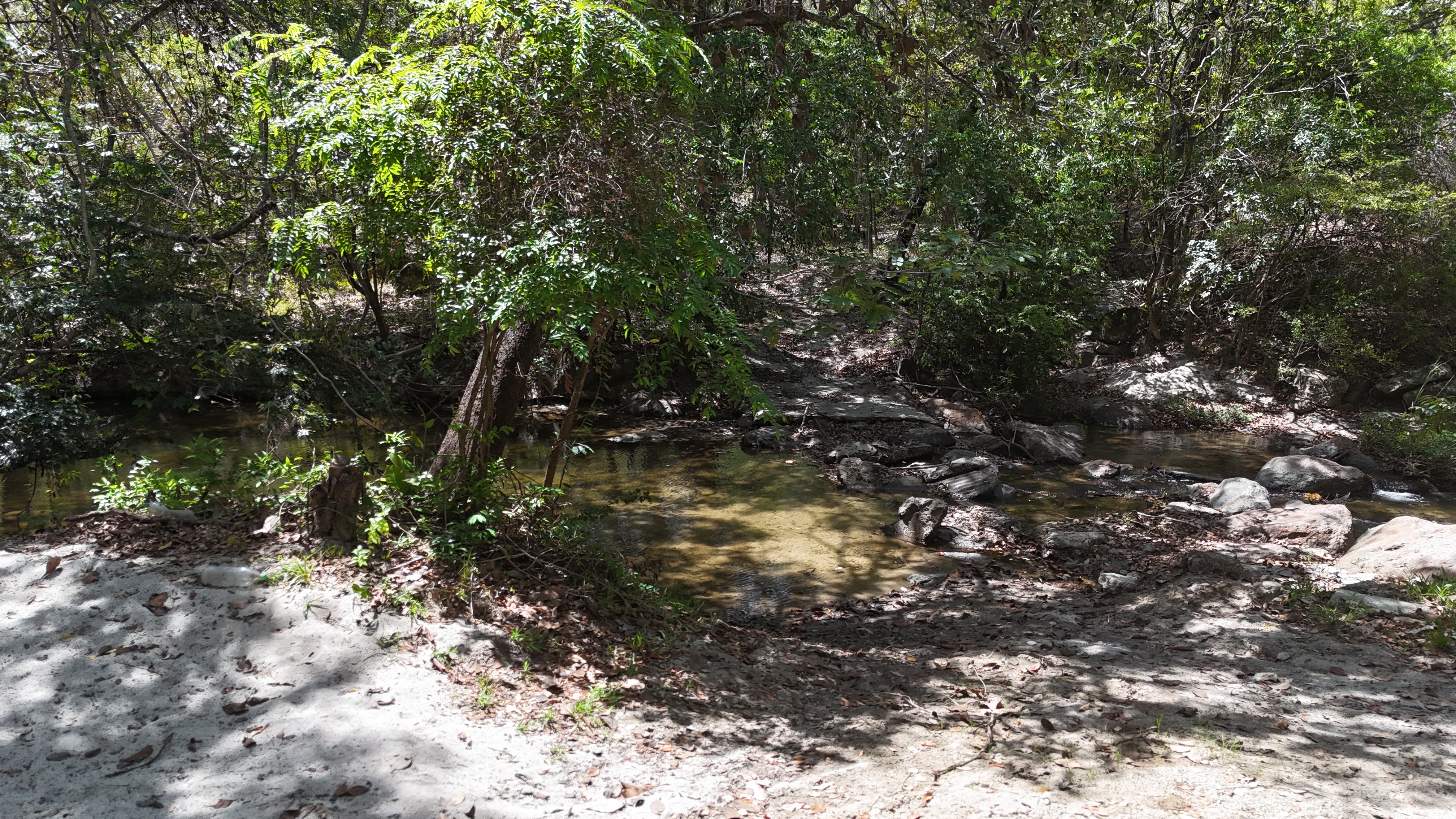 FINCA EN VENTA - EL ESCOBIO | LIBERIA