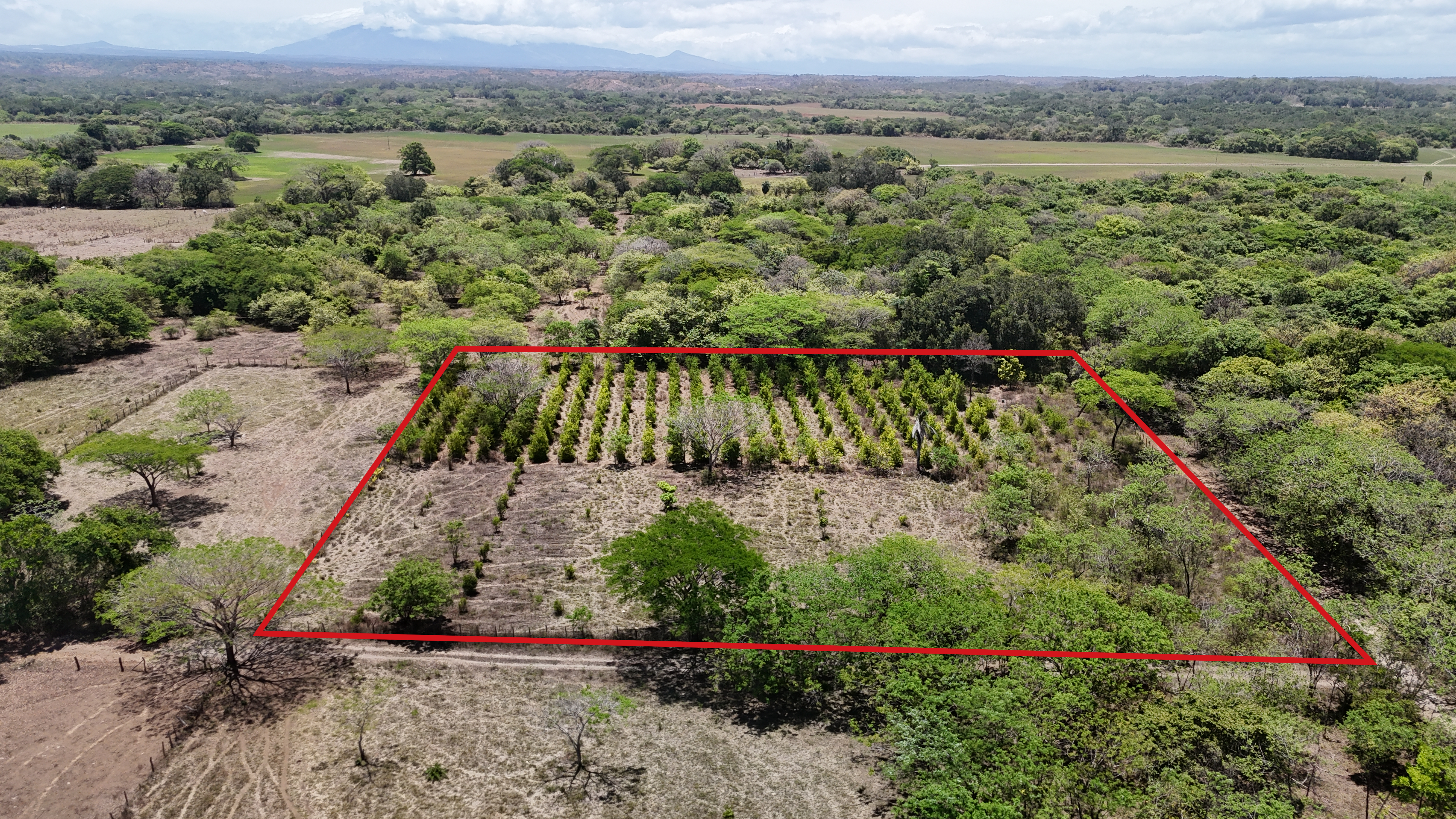 VENDO TERRENO - LIBERIA , Guanacaste, Costa Rica