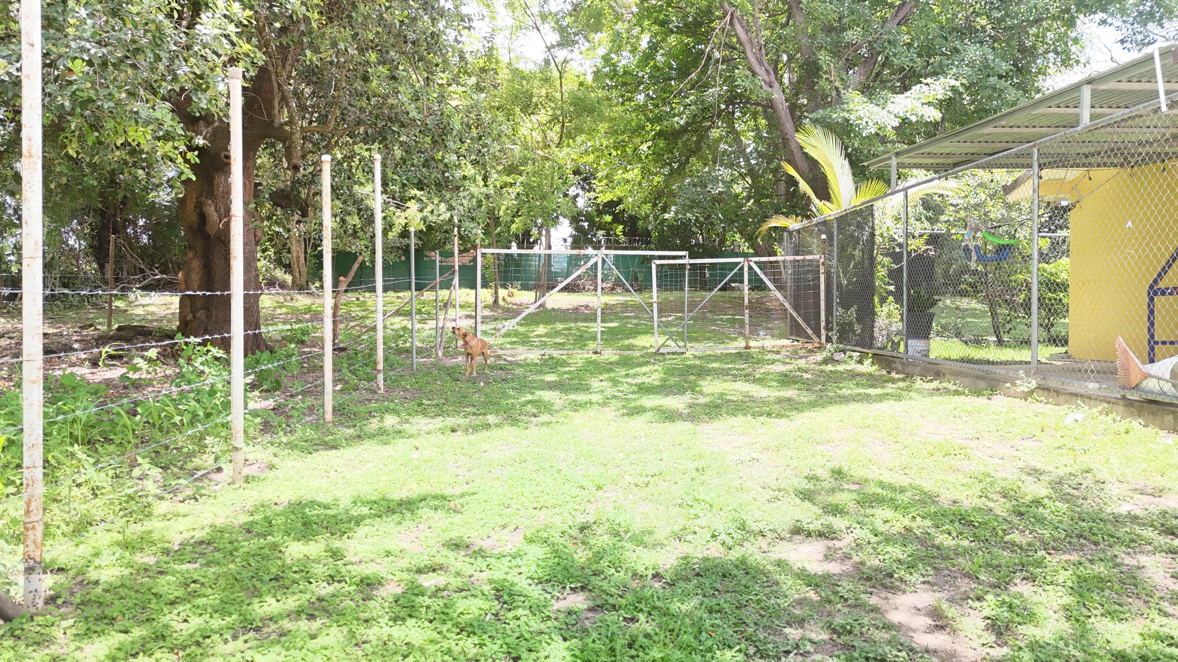 LOTE EN VENTA - LIBERIA | LA CARRETA