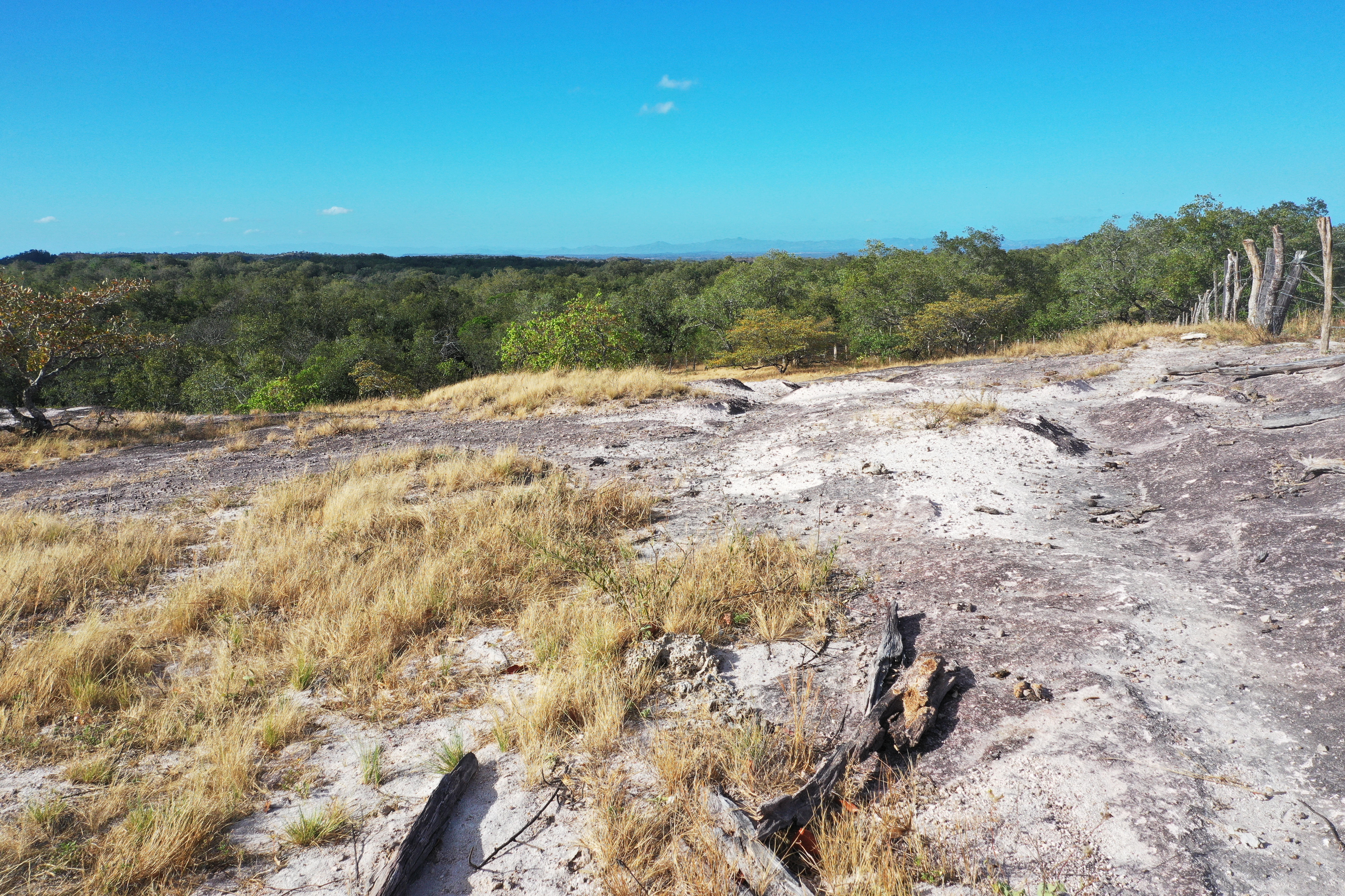 FARM FOR SALE - CURUBANDE | LIBERIA