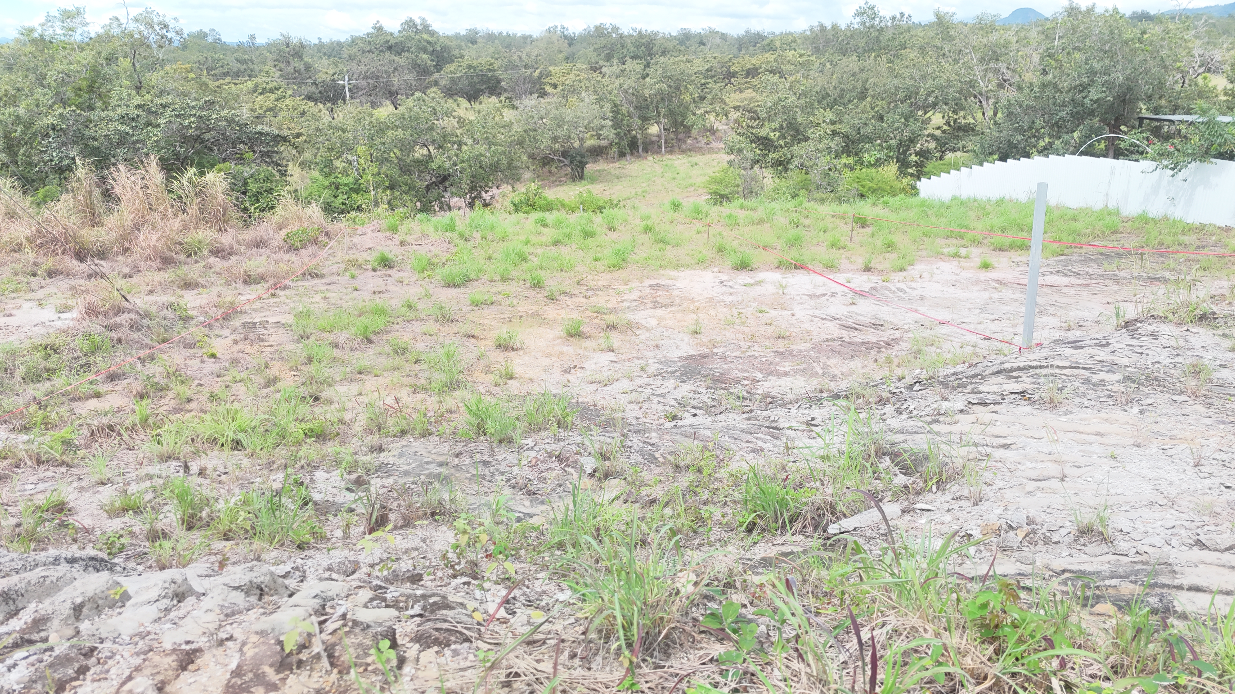 LOTES EN VENTA CAMINO A CURUBANDE- LIBERIA