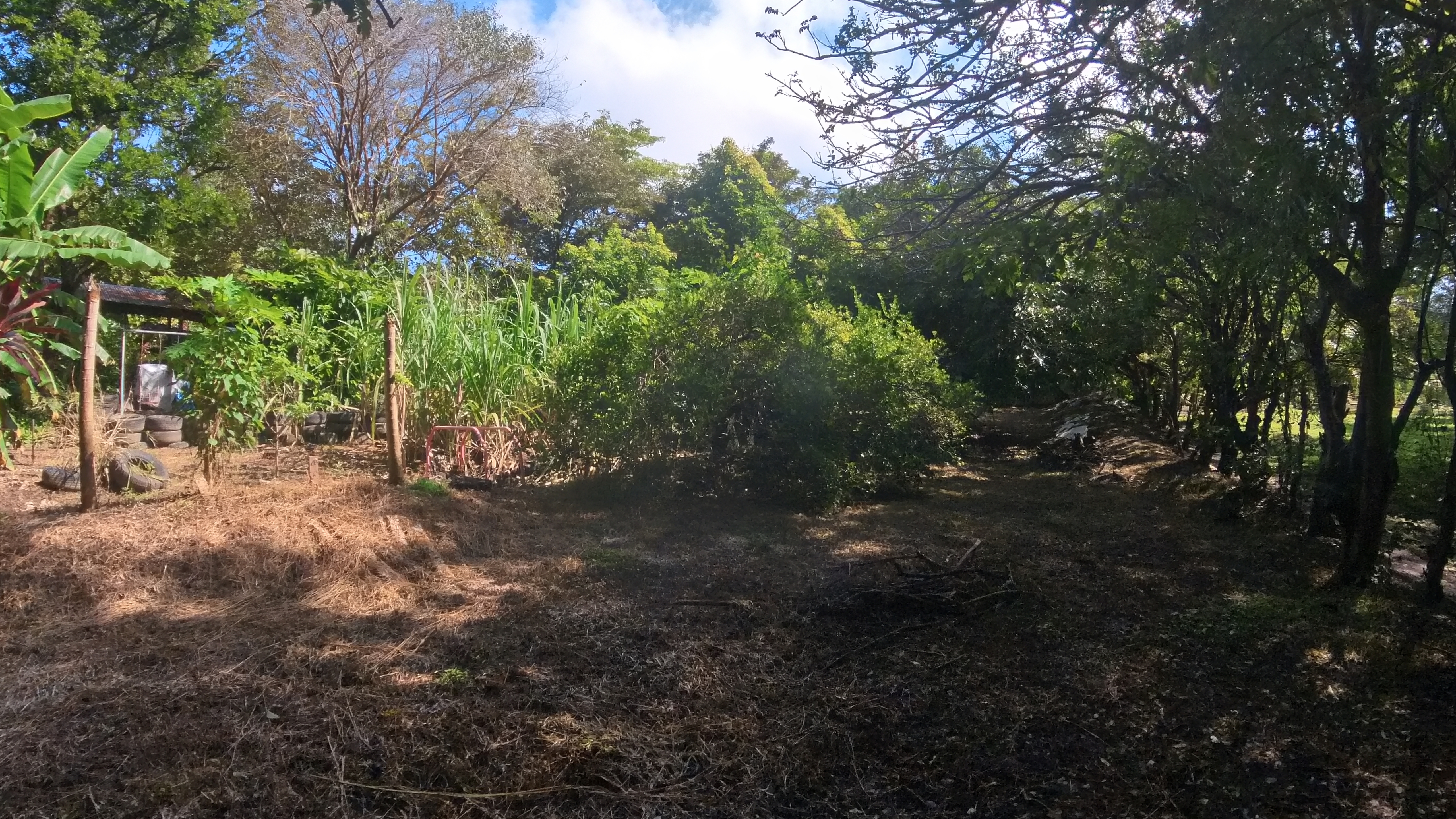 COUNTRY SIDE HOUSE FOR SALE QUINTAS DON MIGUEL - BAGACES