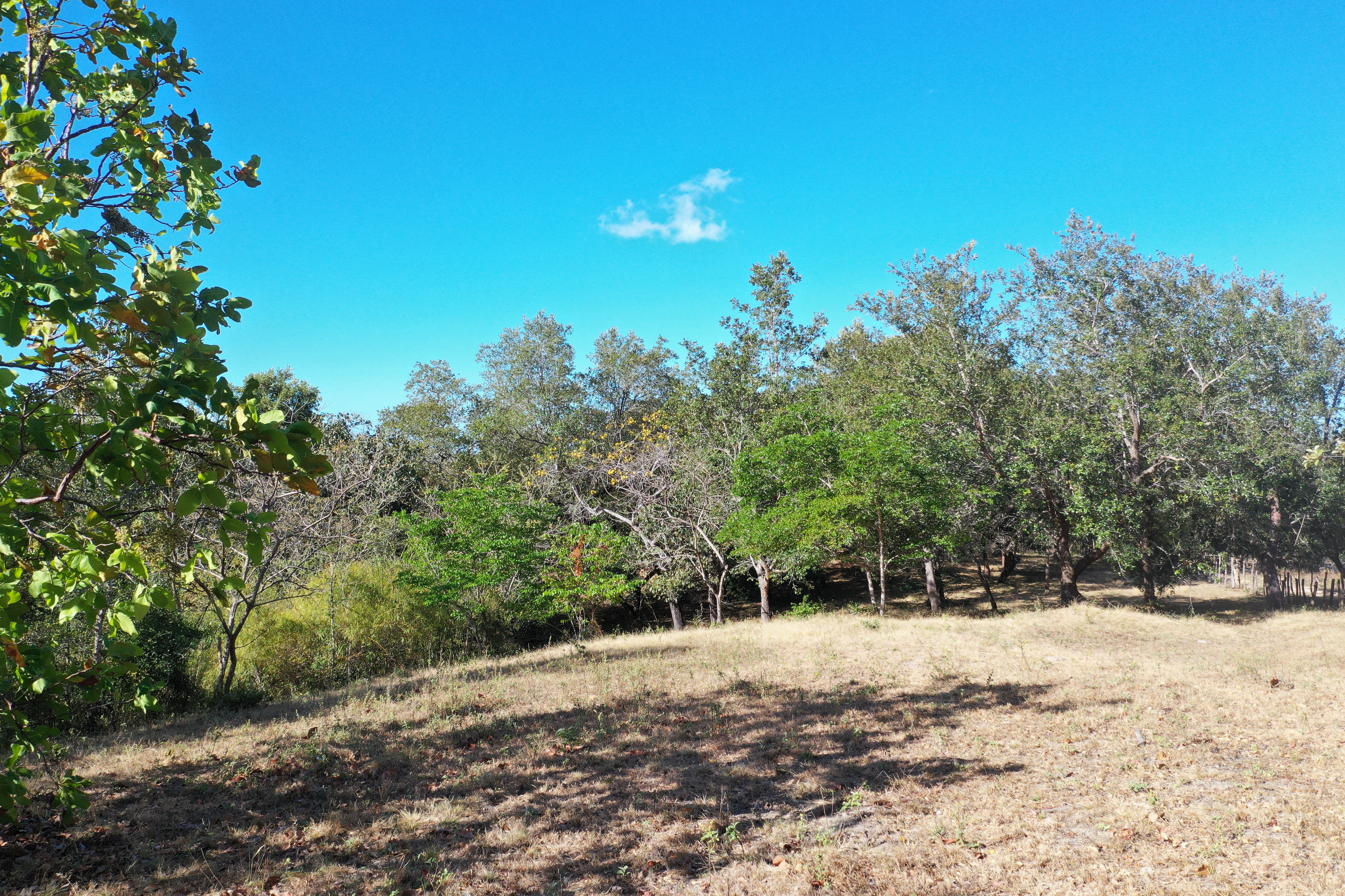 FARM FOR SALE - CURUBANDE | LIBERIA