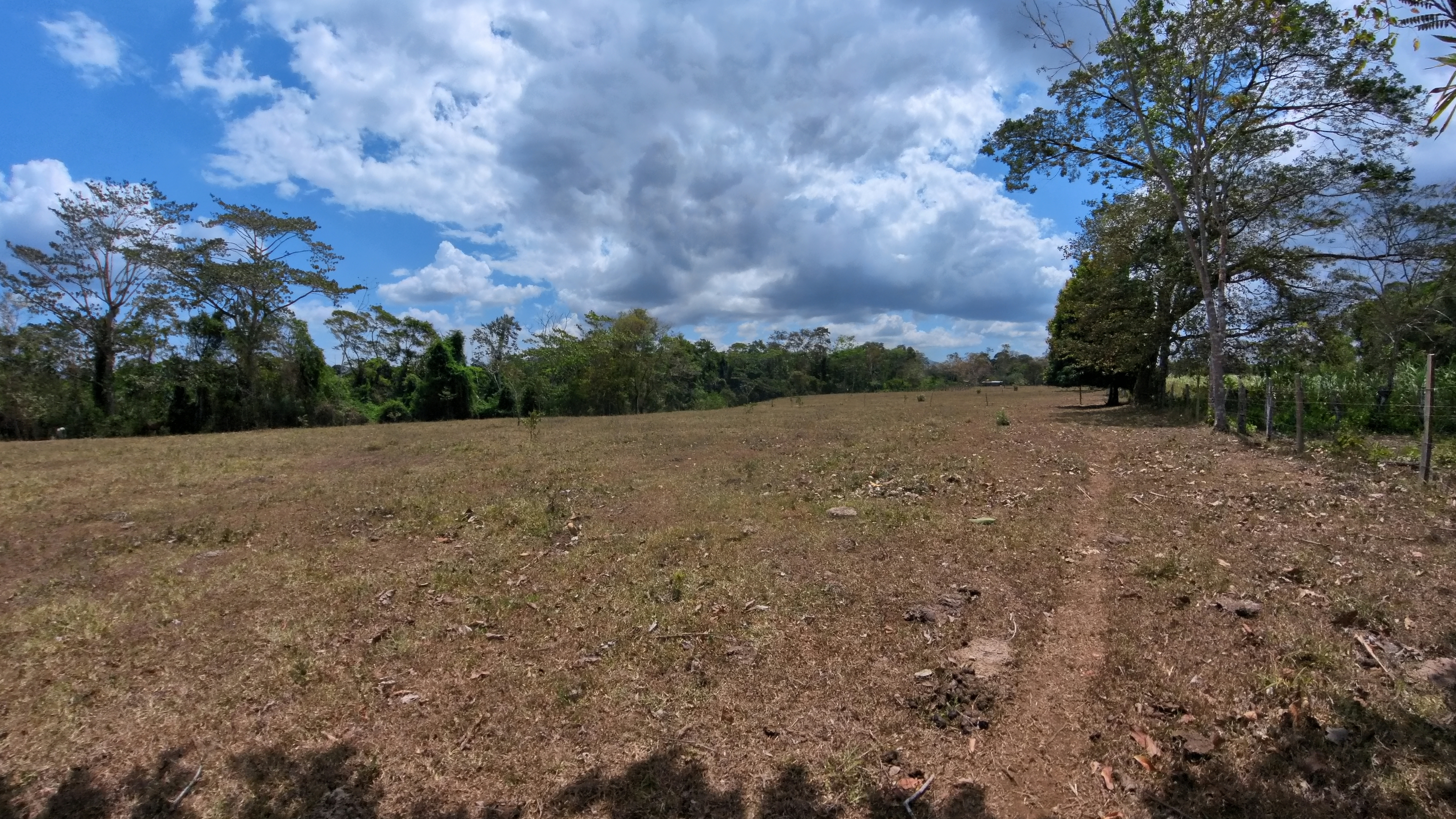 Rosibel Farm, Birdwatching paradise, La Verbena, Upala, Costa Rica