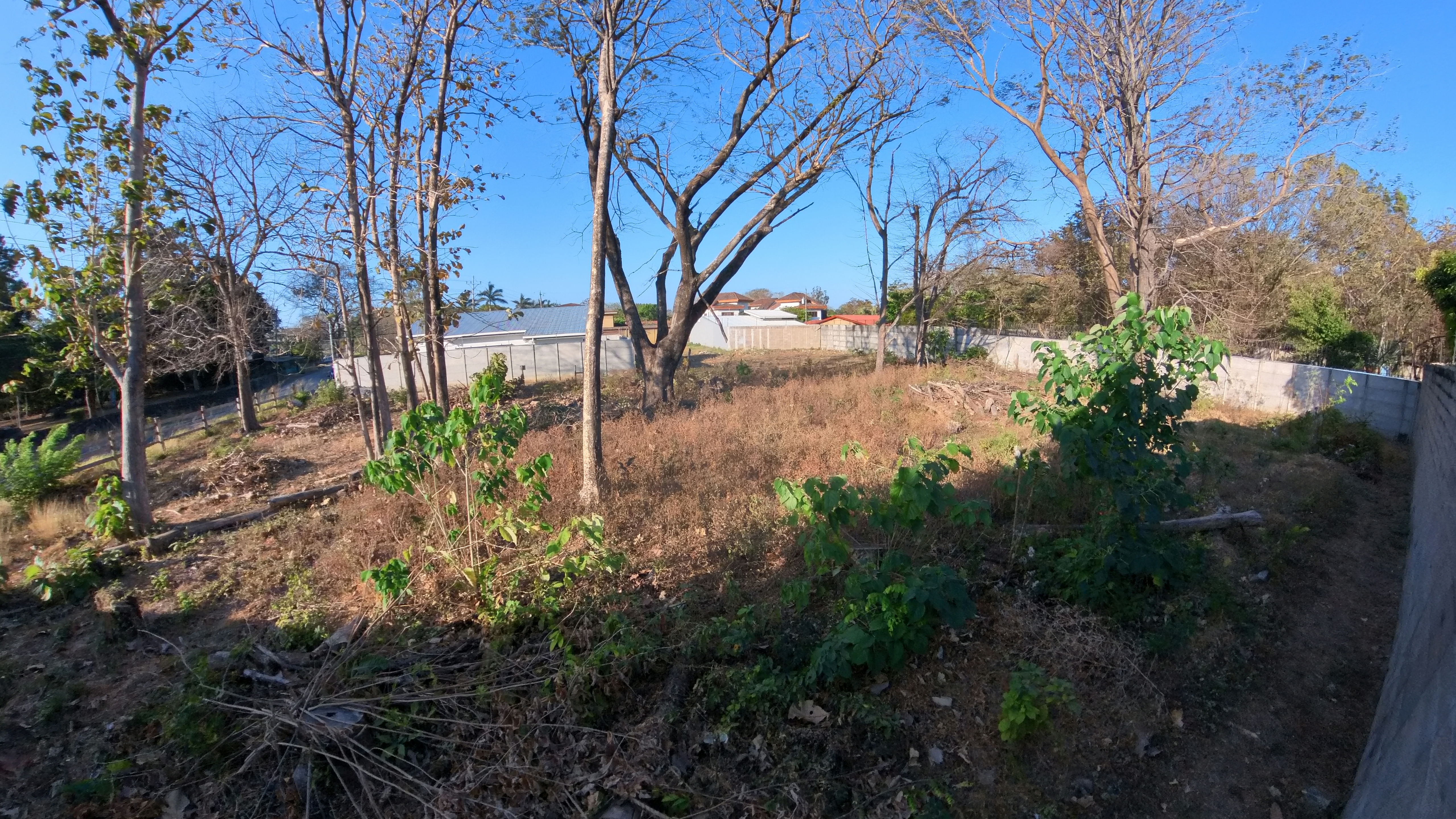LOTE EN VENTA - LIBERIA | BARRIO LA CRUZ MADROÑO