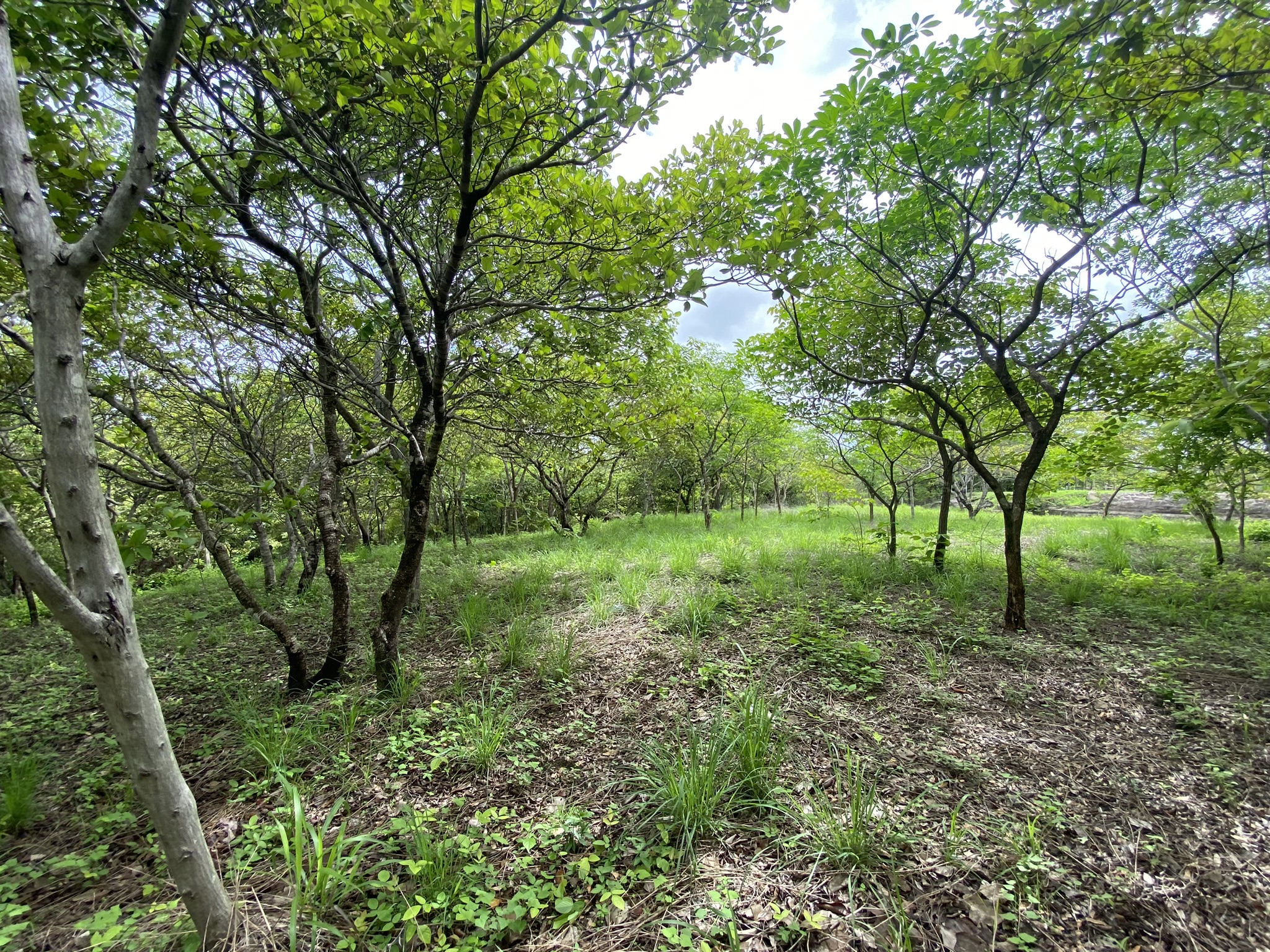 Lote en venta AZ, Quintas Don Miguel, Bagaces, Guanacaste
