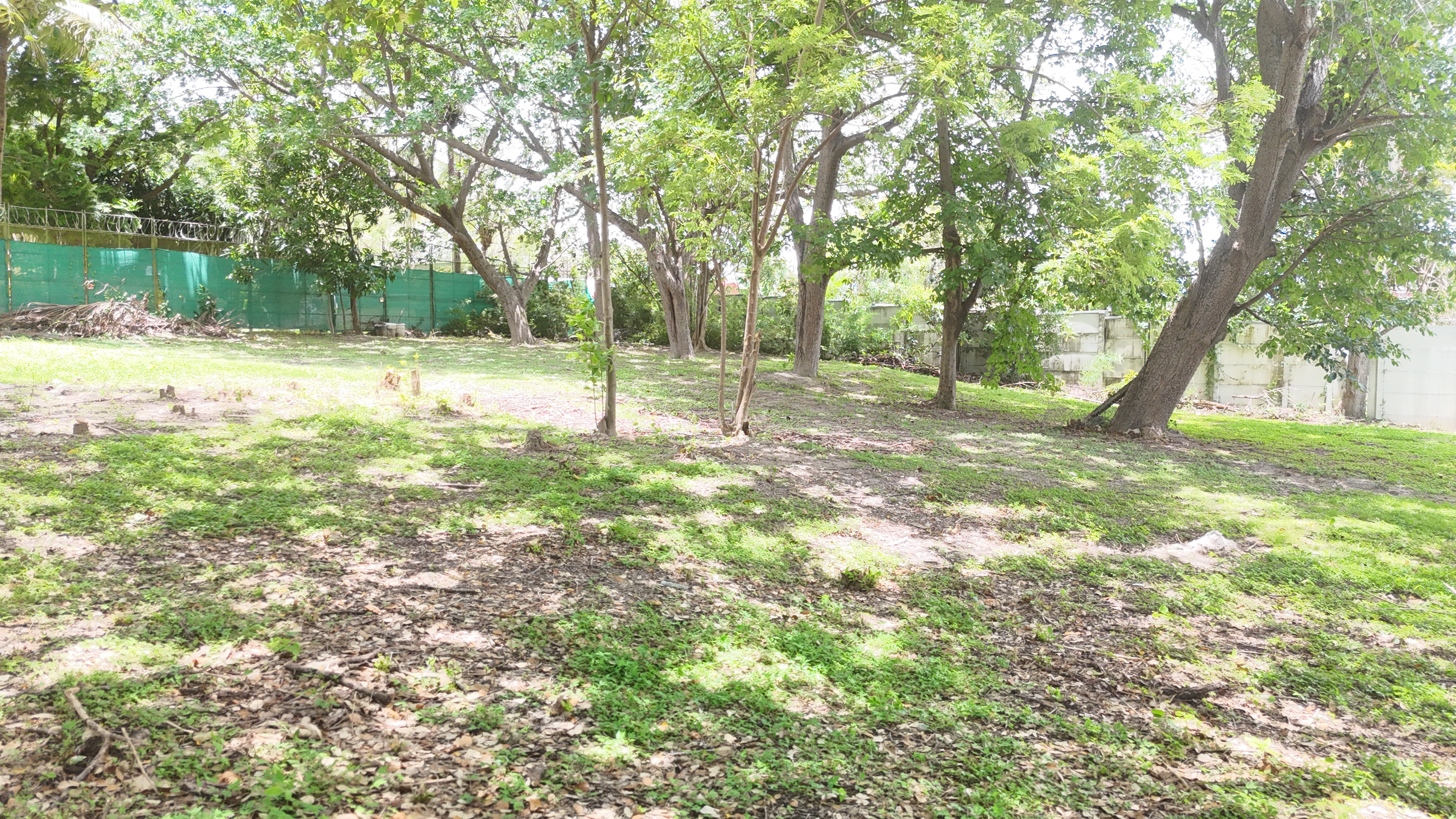 LOTE EN VENTA - LIBERIA | LA CARRETA