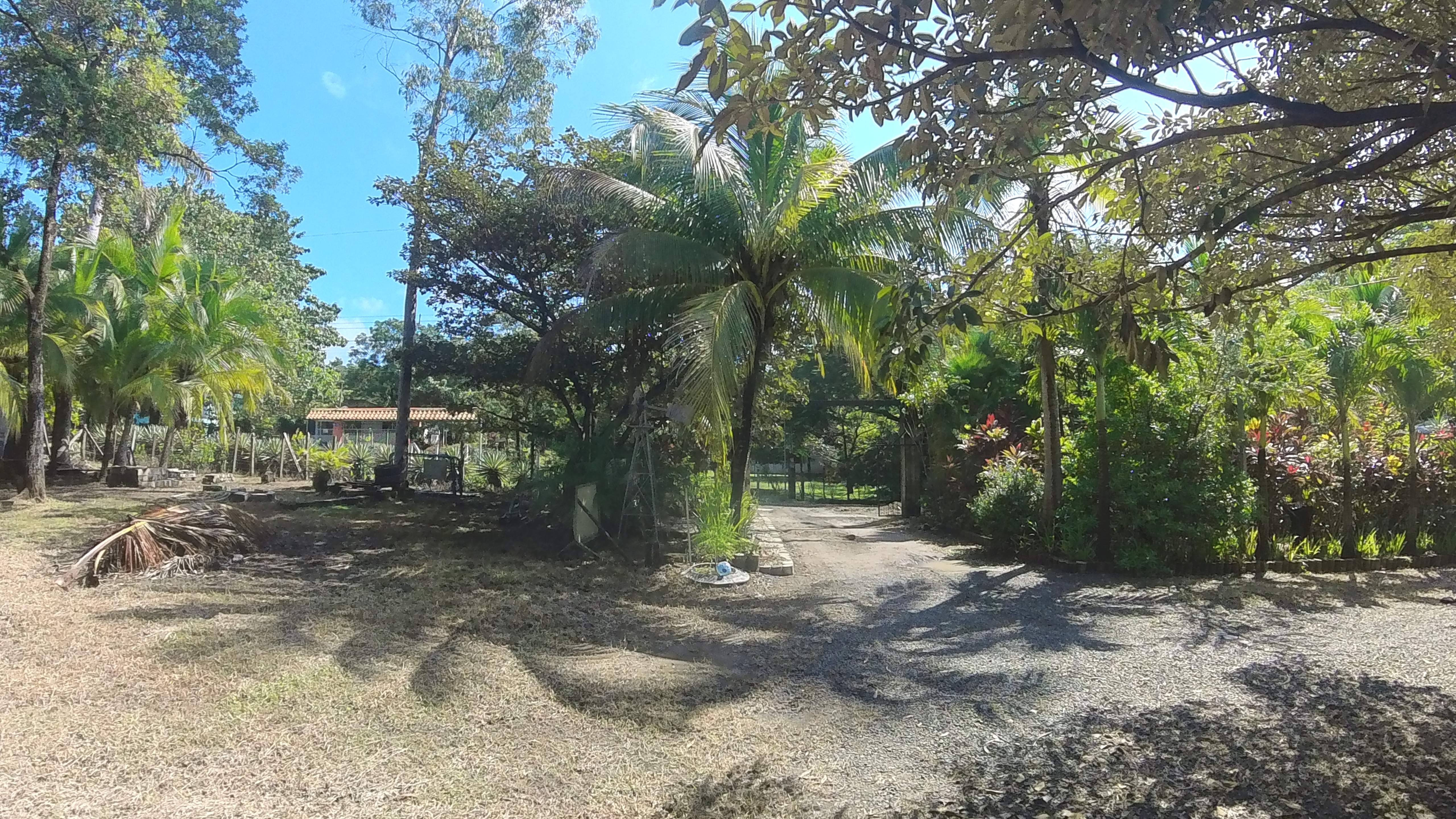 COUNTRY SIDE HOUSE FOR SALE QUINTAS DON MIGUEL - BAGACES