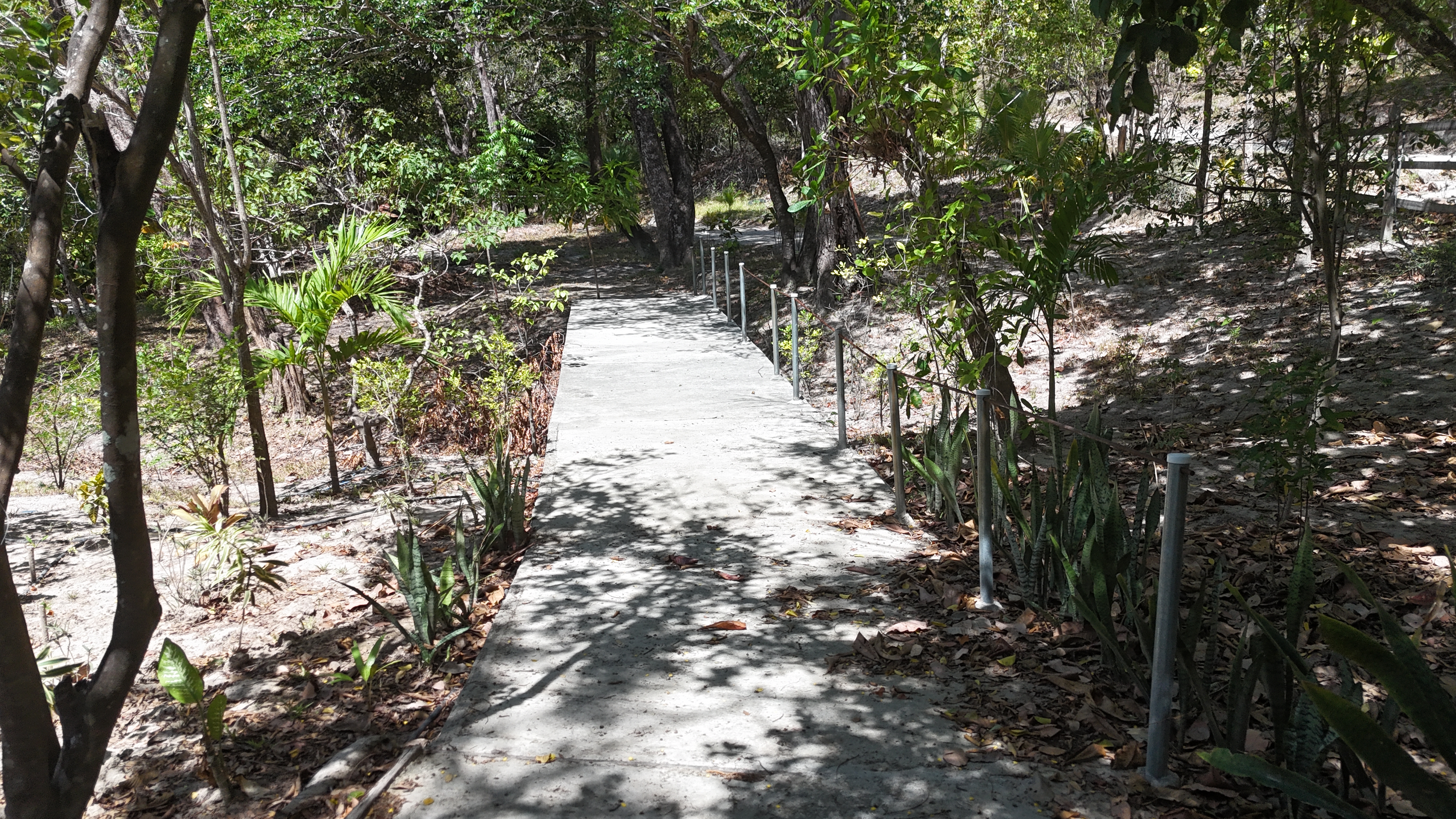 FINCA EN VENTA - EL ESCOBIO | LIBERIA