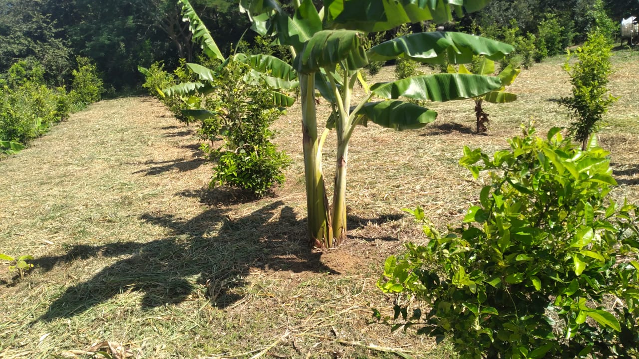 VENDO TERRENO - LIBERIA , Guanacaste, Costa Rica