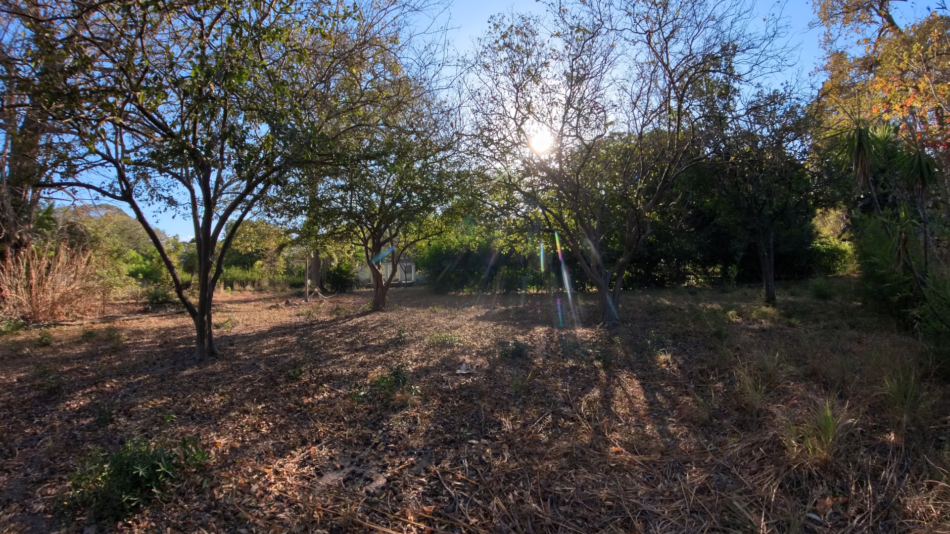 SE VENDE LOTE - LA CARAÑA  | LIBERIA