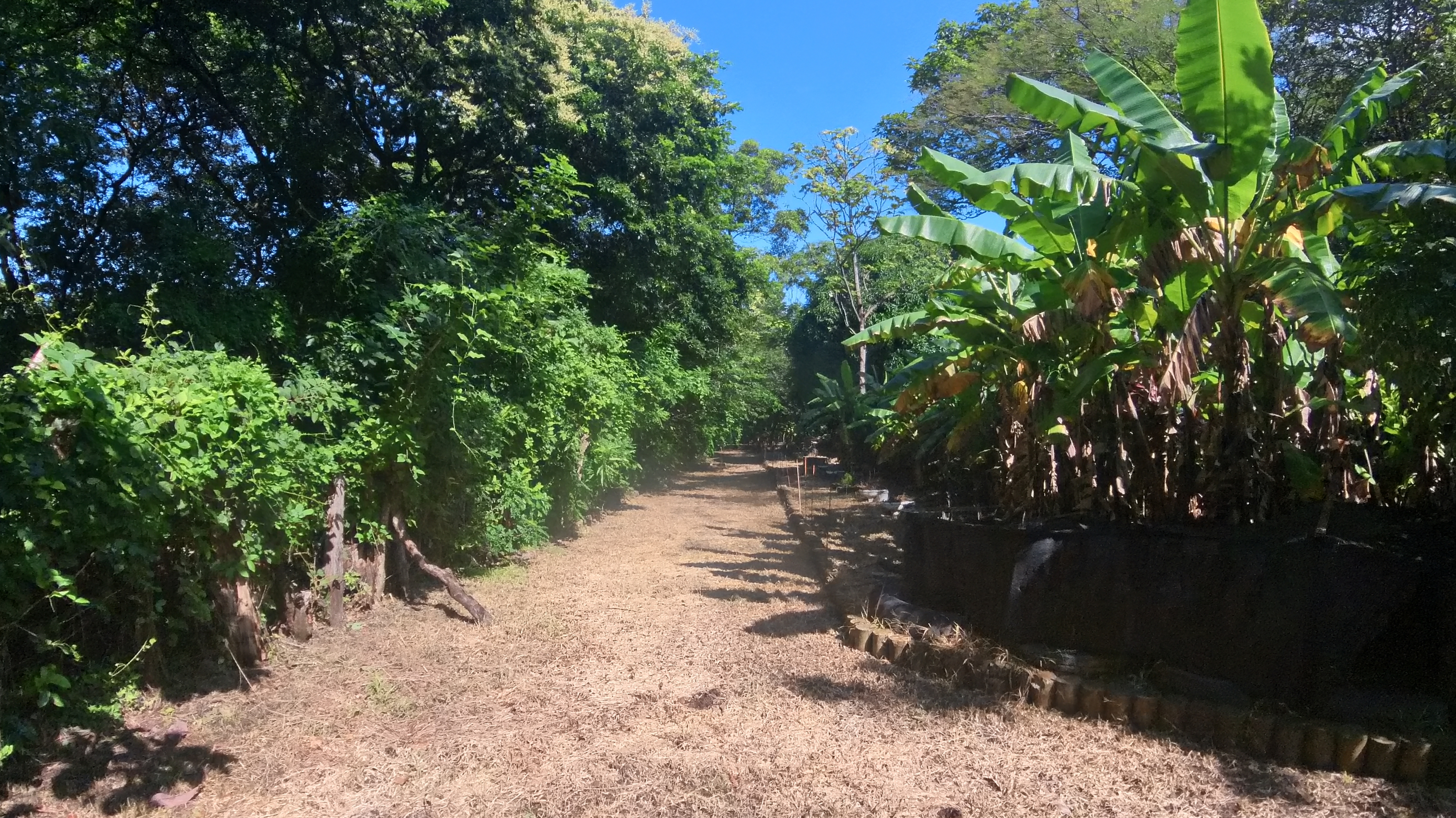 COUNTRY SIDE HOUSE FOR SALE QUINTAS DON MIGUEL - BAGACES