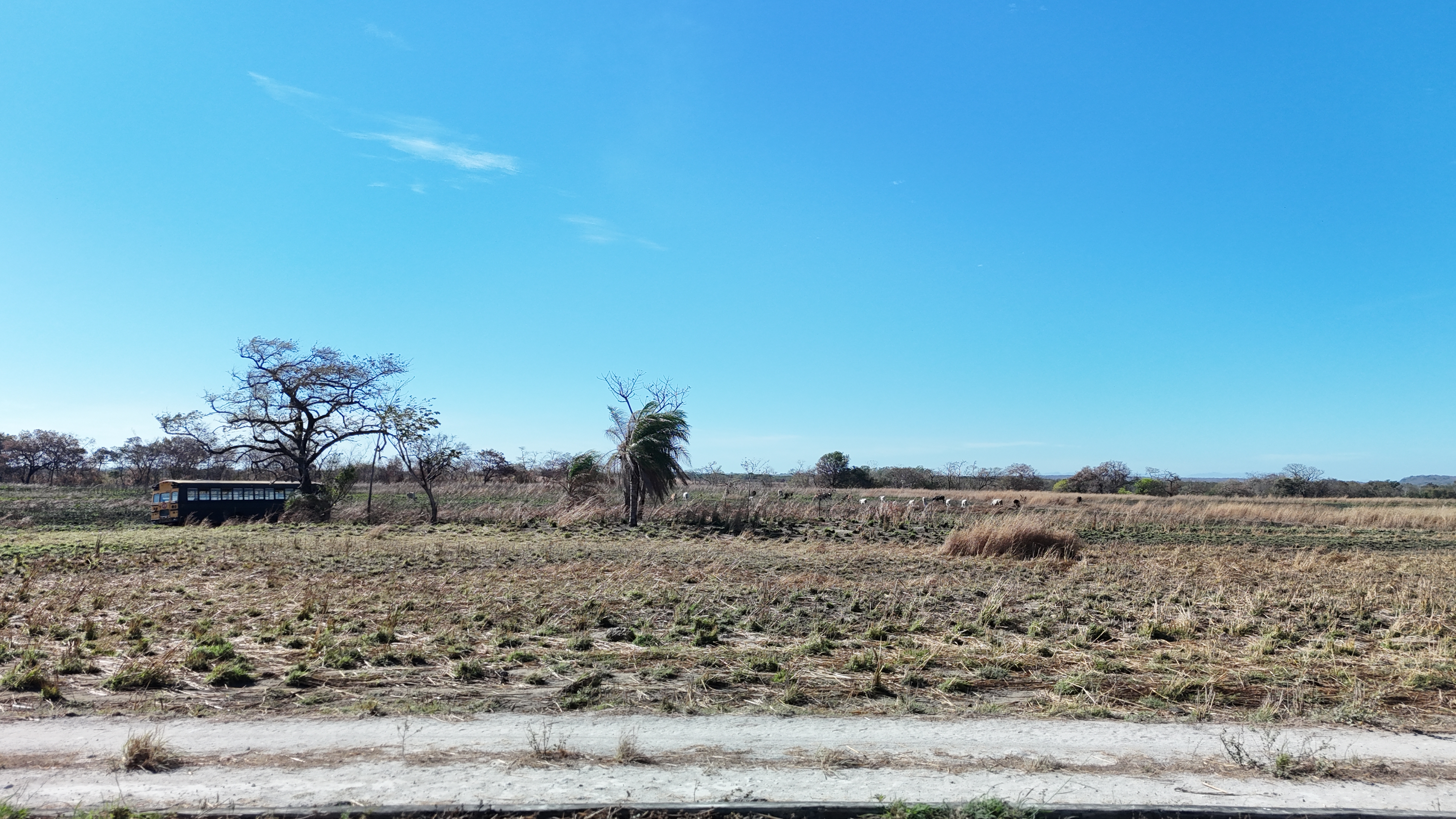 TERRENO DE 1,6 HECTARES EN VENTA - LIBERIA