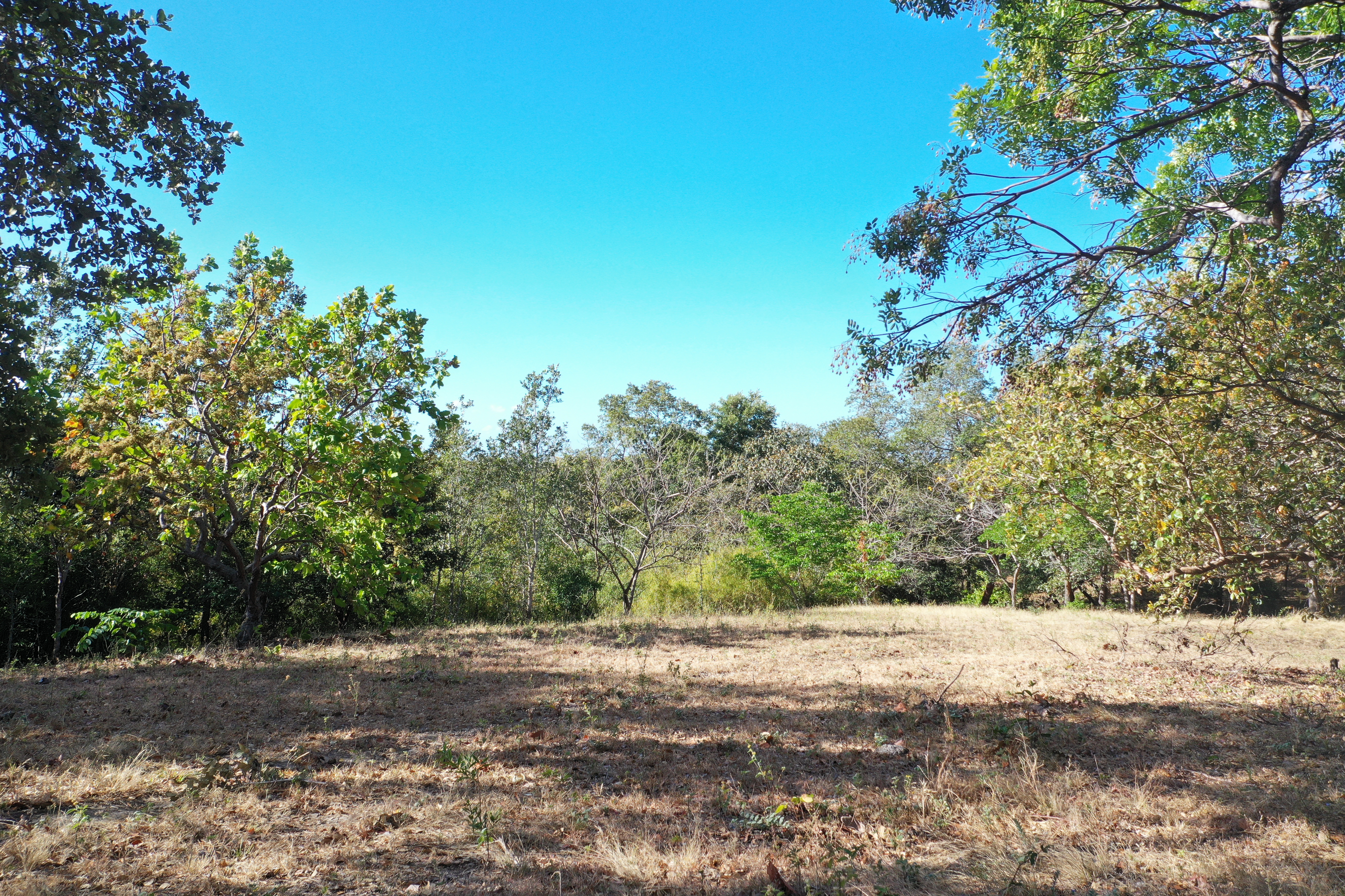 FARM FOR SALE - CURUBANDE | LIBERIA