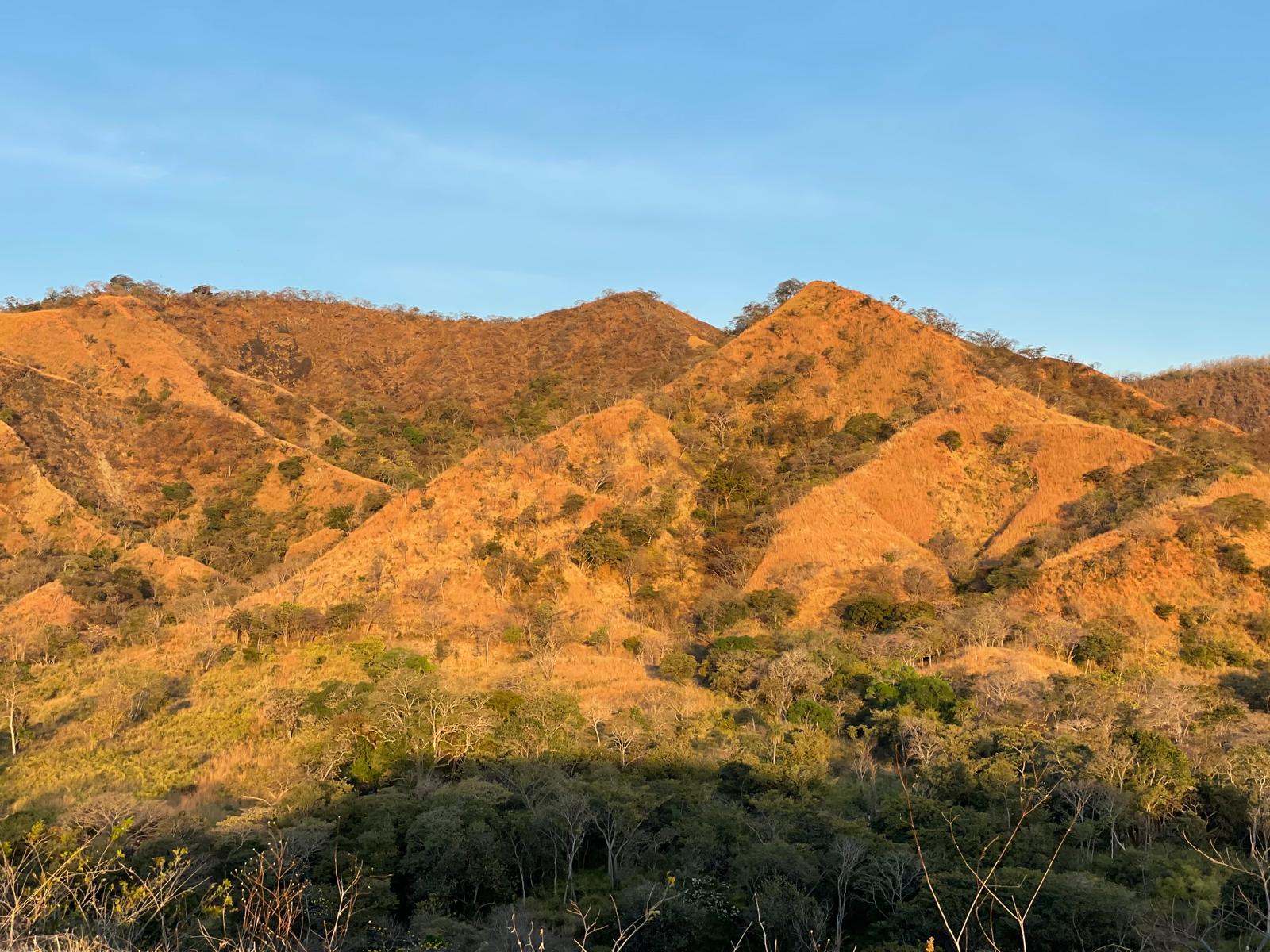 FOR SALE OCEAN VIEW AT VISTAS FLAMINGO - POTRERO | GUANACASTE