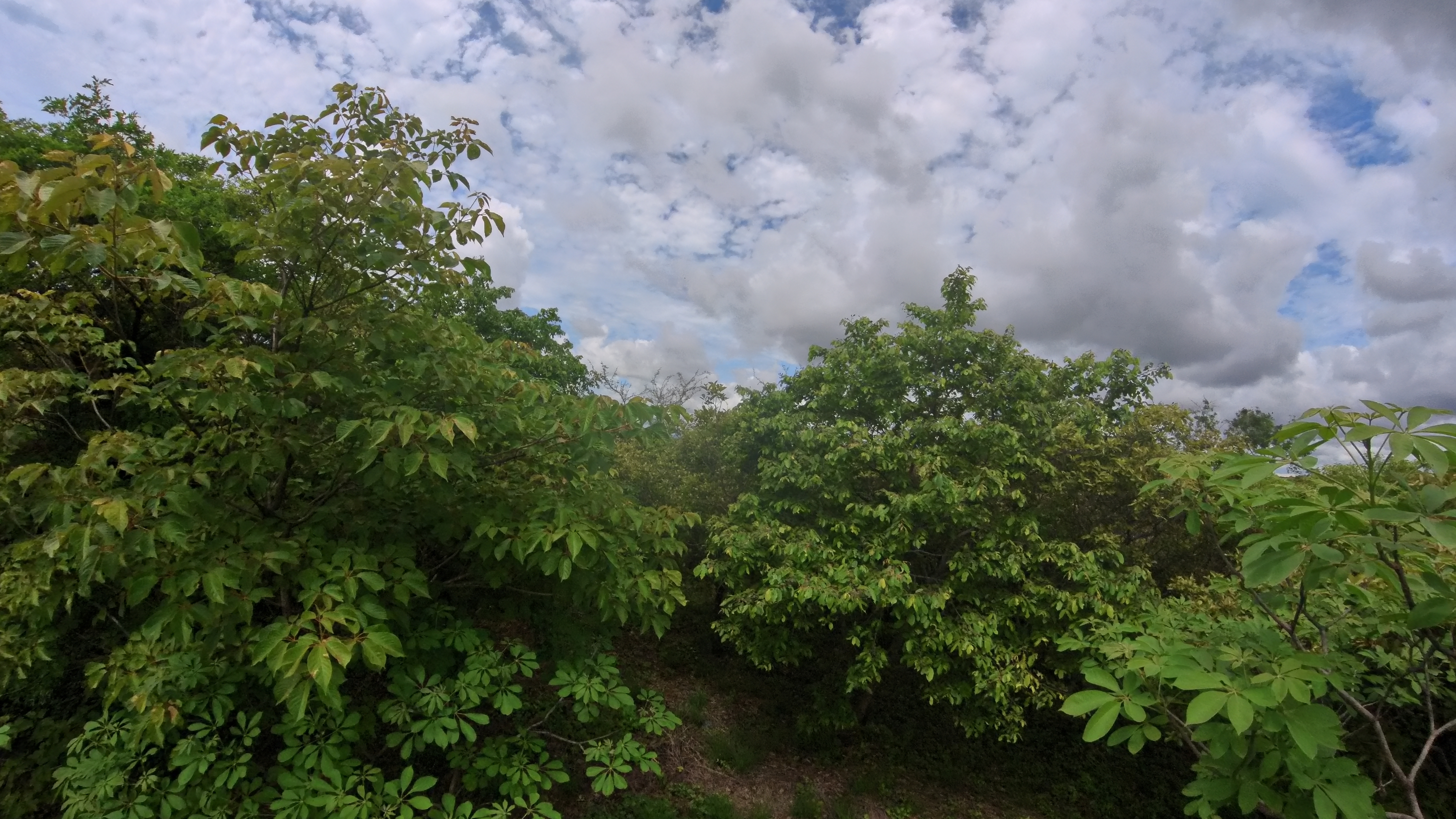 Lote en venta AZ, Quintas Don Miguel, Bagaces, Guanacaste