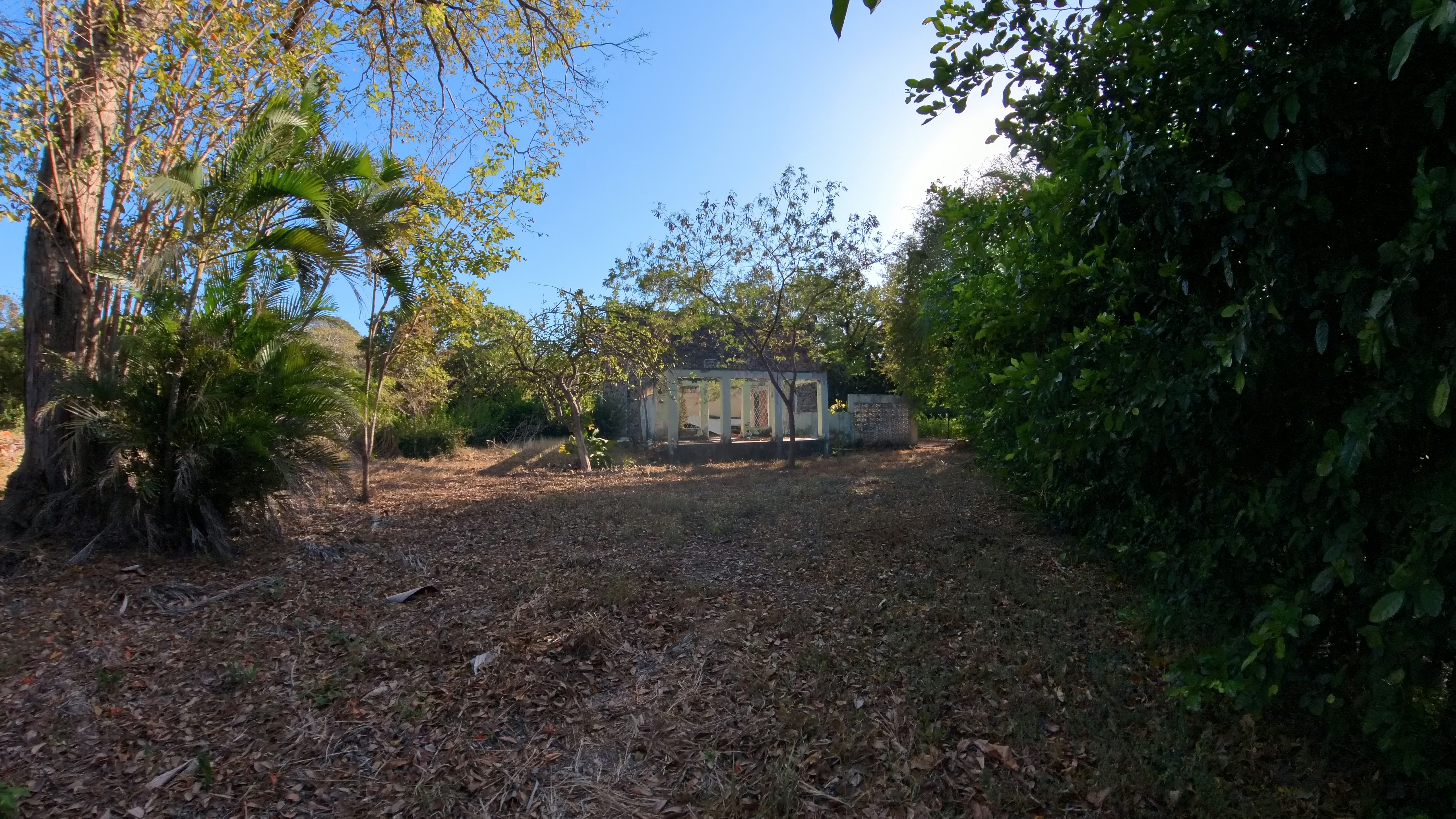 LOTE EN VENTA - LA CARAÑA | LIBERIA