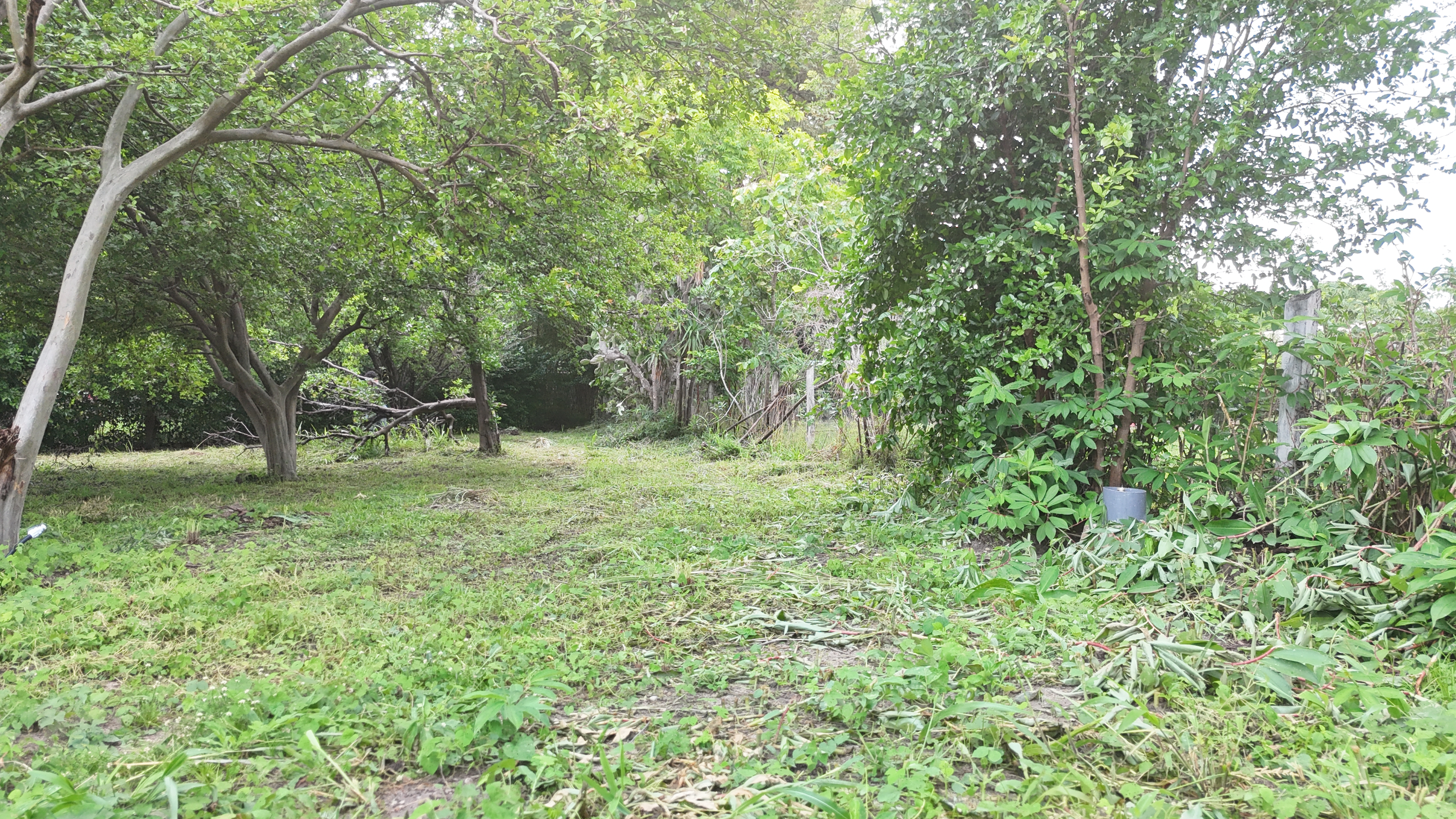 SE VENDE LOTE - LA CARAÑA  | LIBERIA