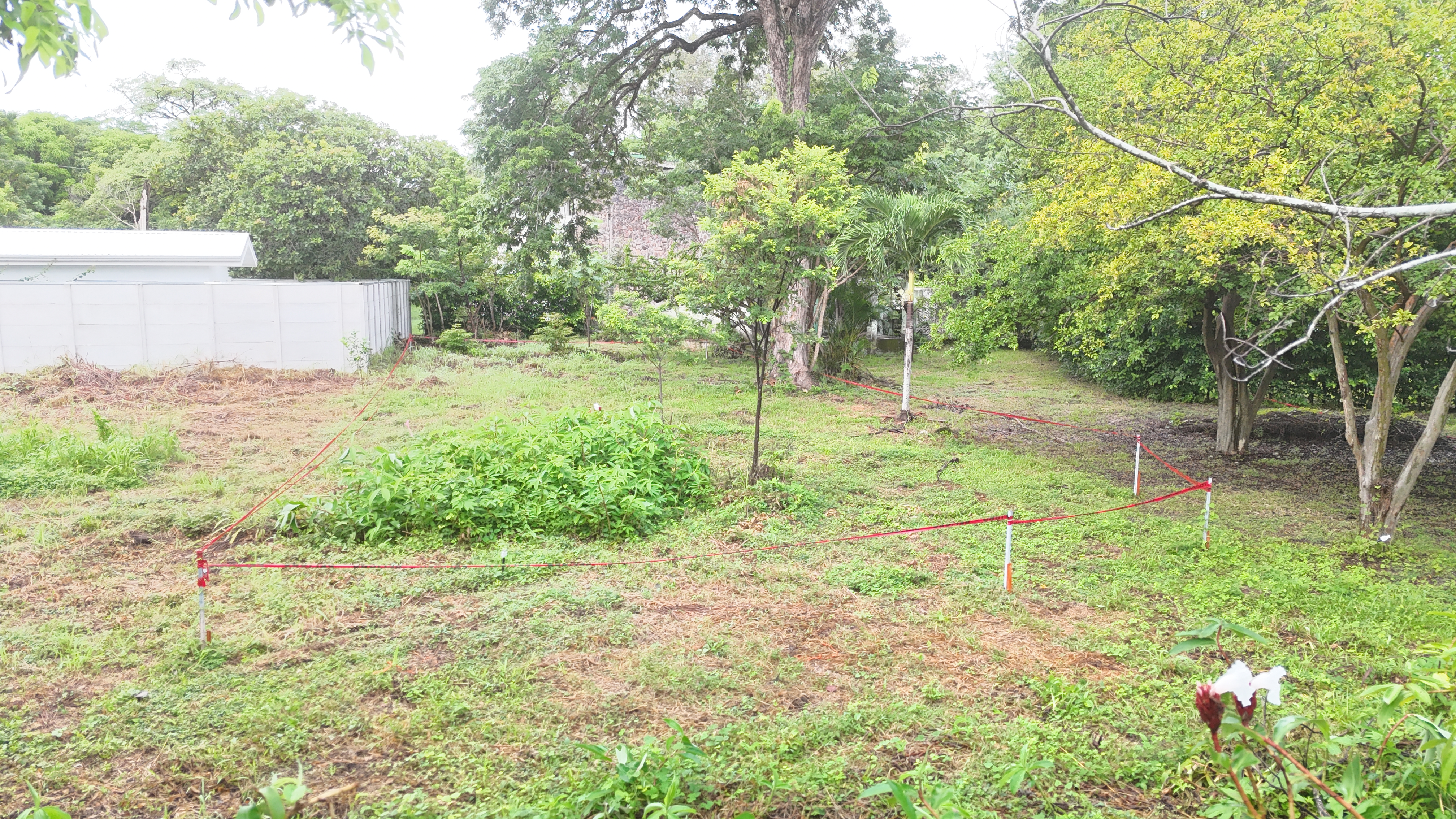 VENDO LOTE - LA CARAÑA | LIBERIA