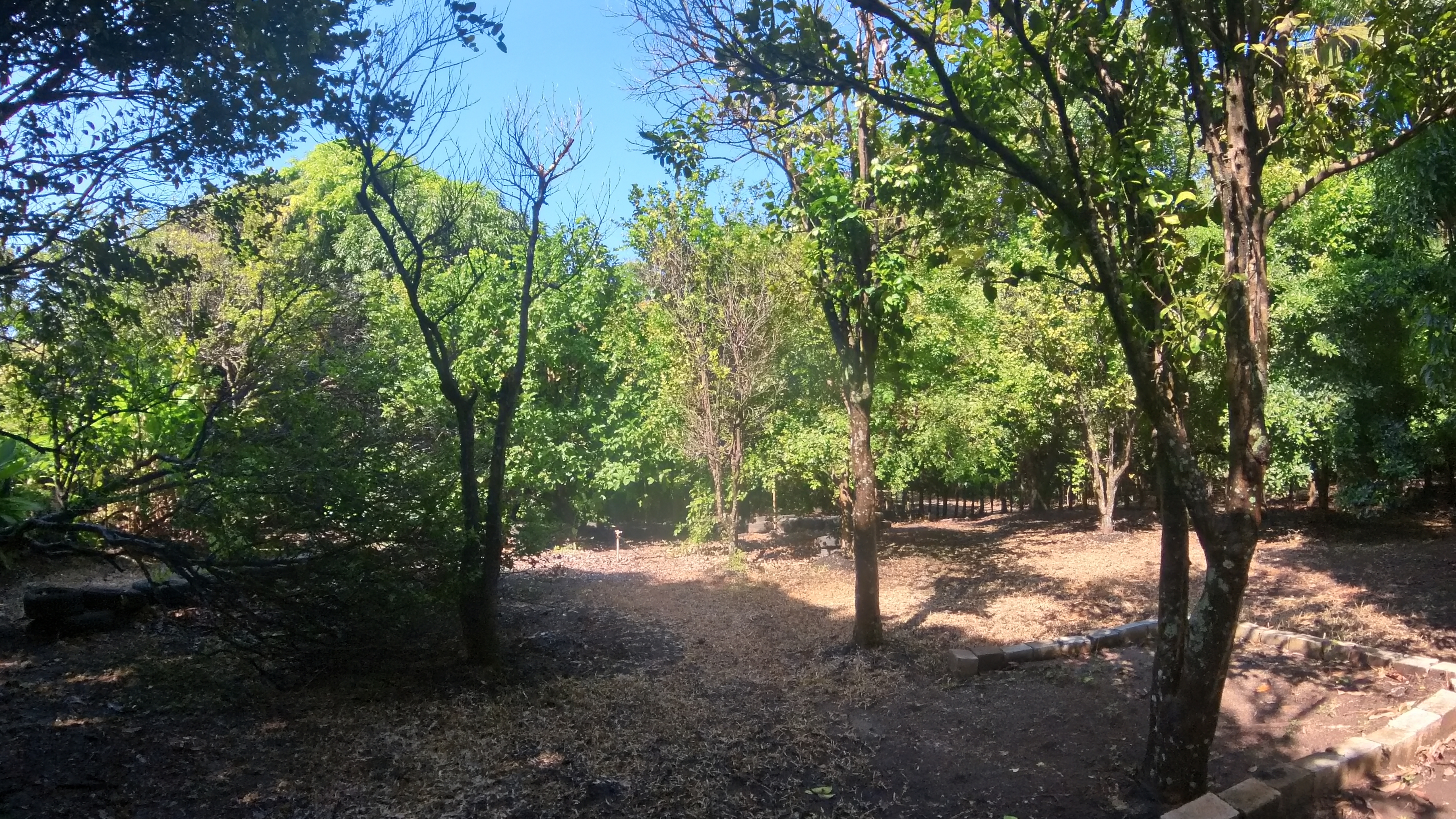 COUNTRY SIDE HOUSE FOR SALE QUINTAS DON MIGUEL - BAGACES