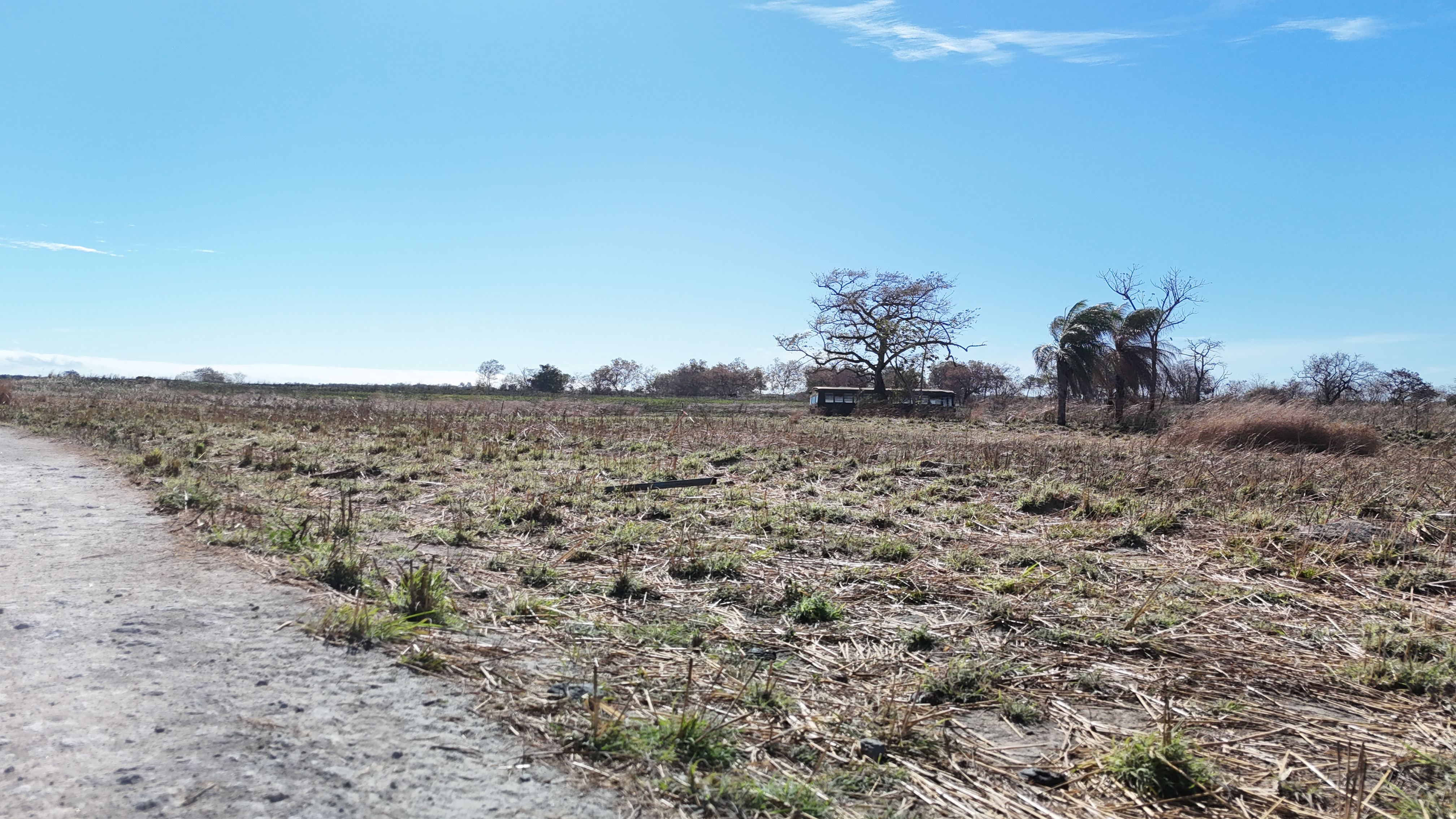 TERRENO DE 1,6 HECTARES EN VENTA - LIBERIA