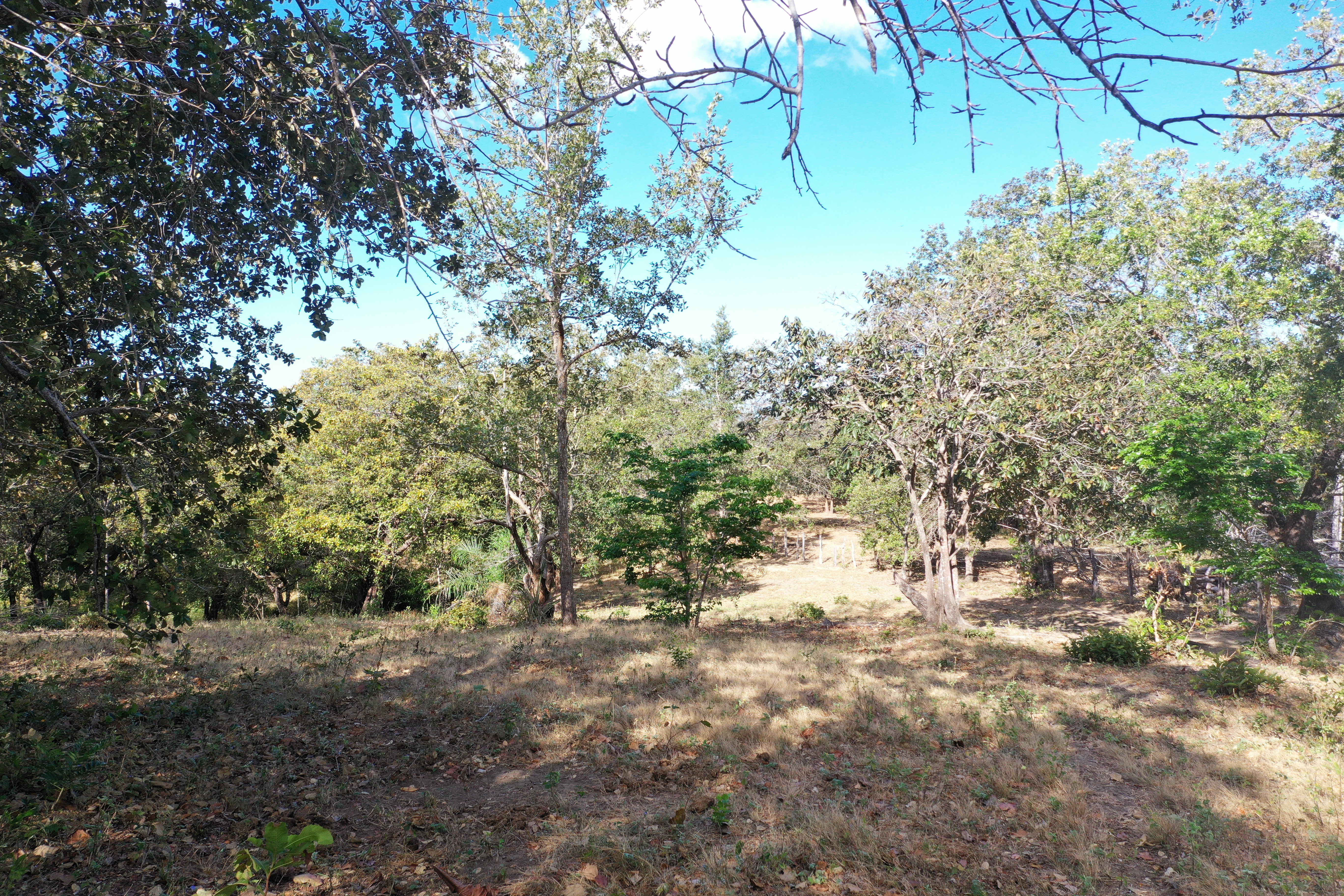 FARM FOR SALE - CURUBANDE | LIBERIA