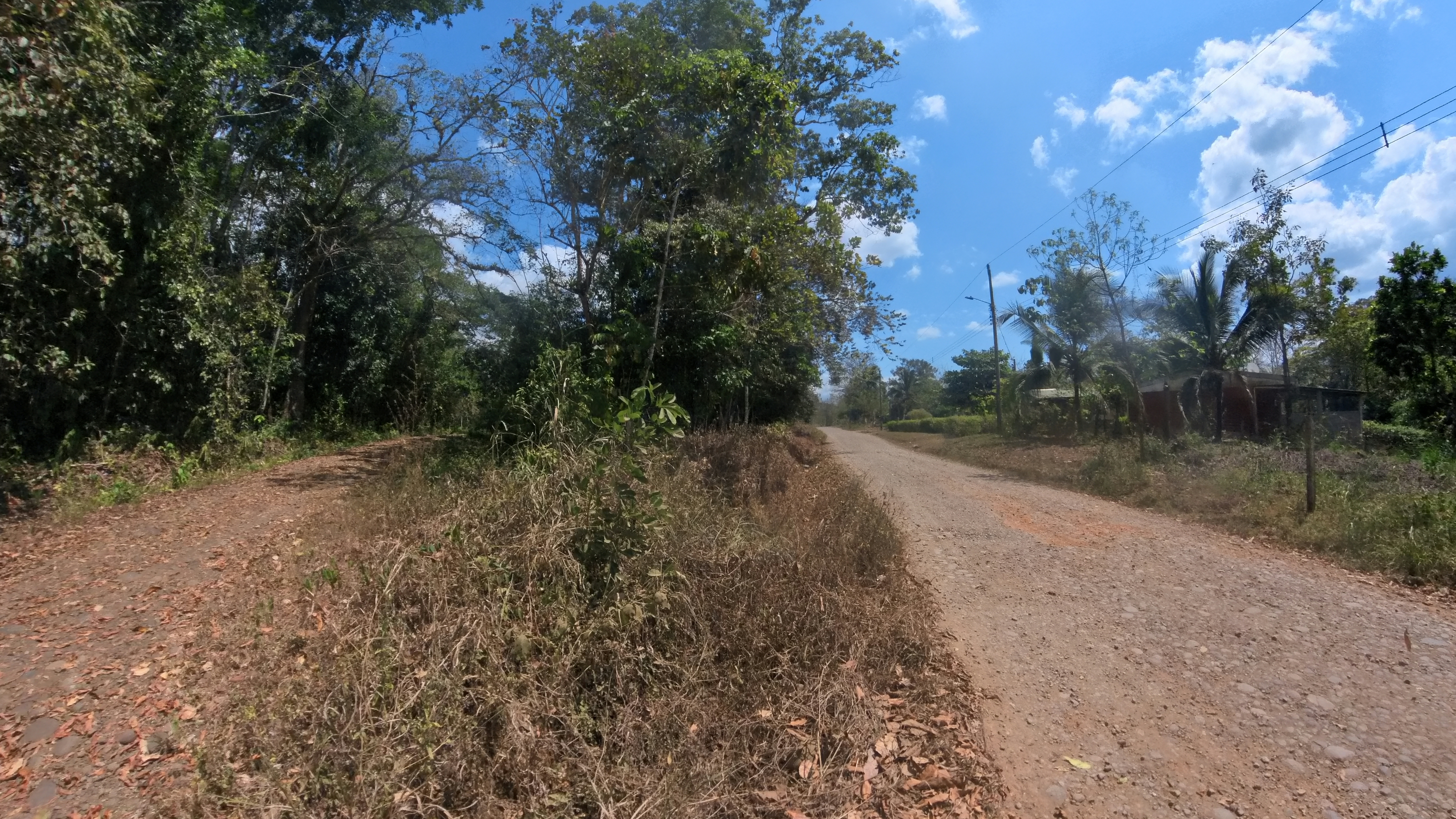 Rosibel Farm, Birdwatching paradise, La Verbena, Upala, Costa Rica