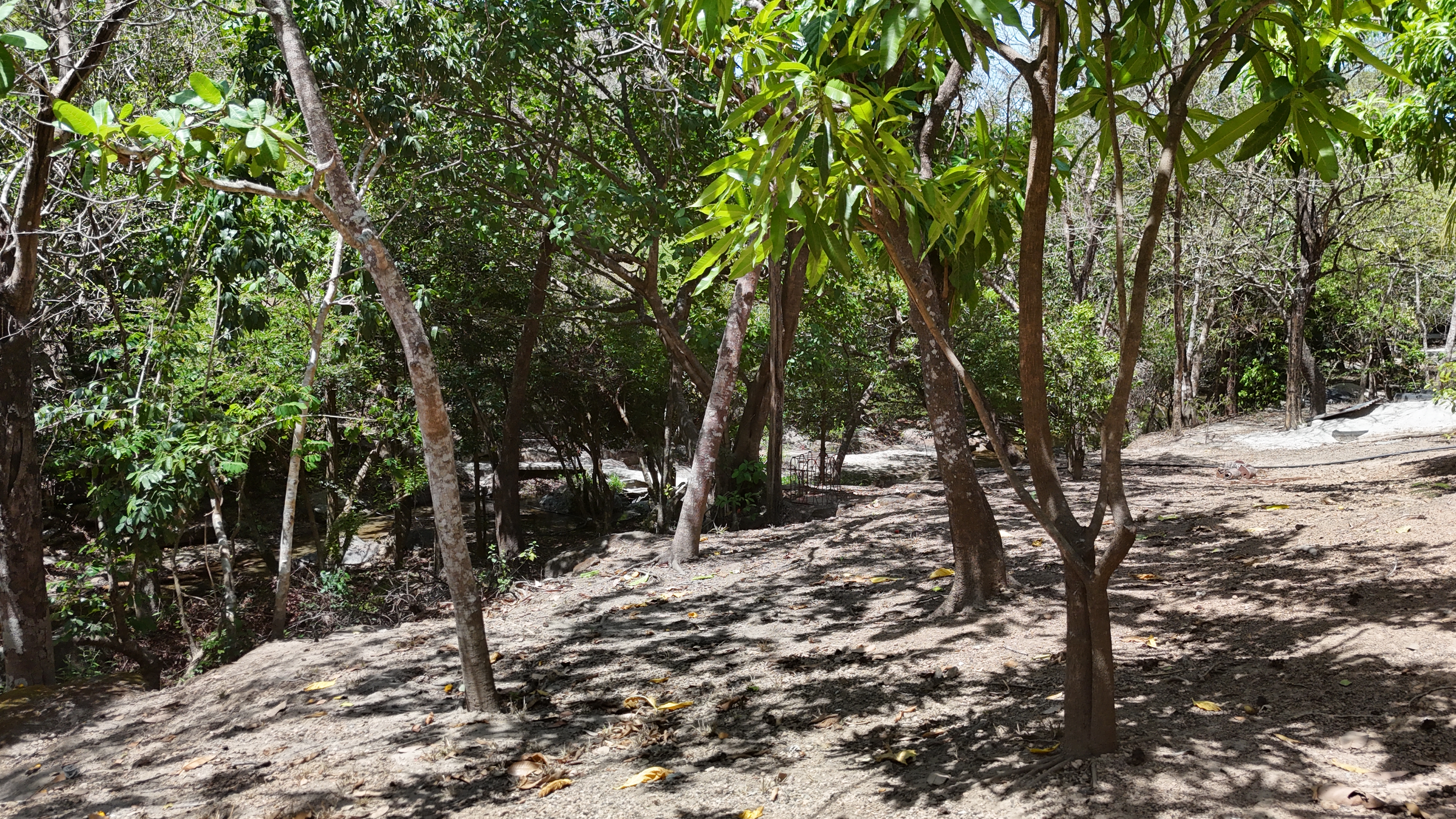 FINCA EN VENTA - EL ESCOBIO | LIBERIA