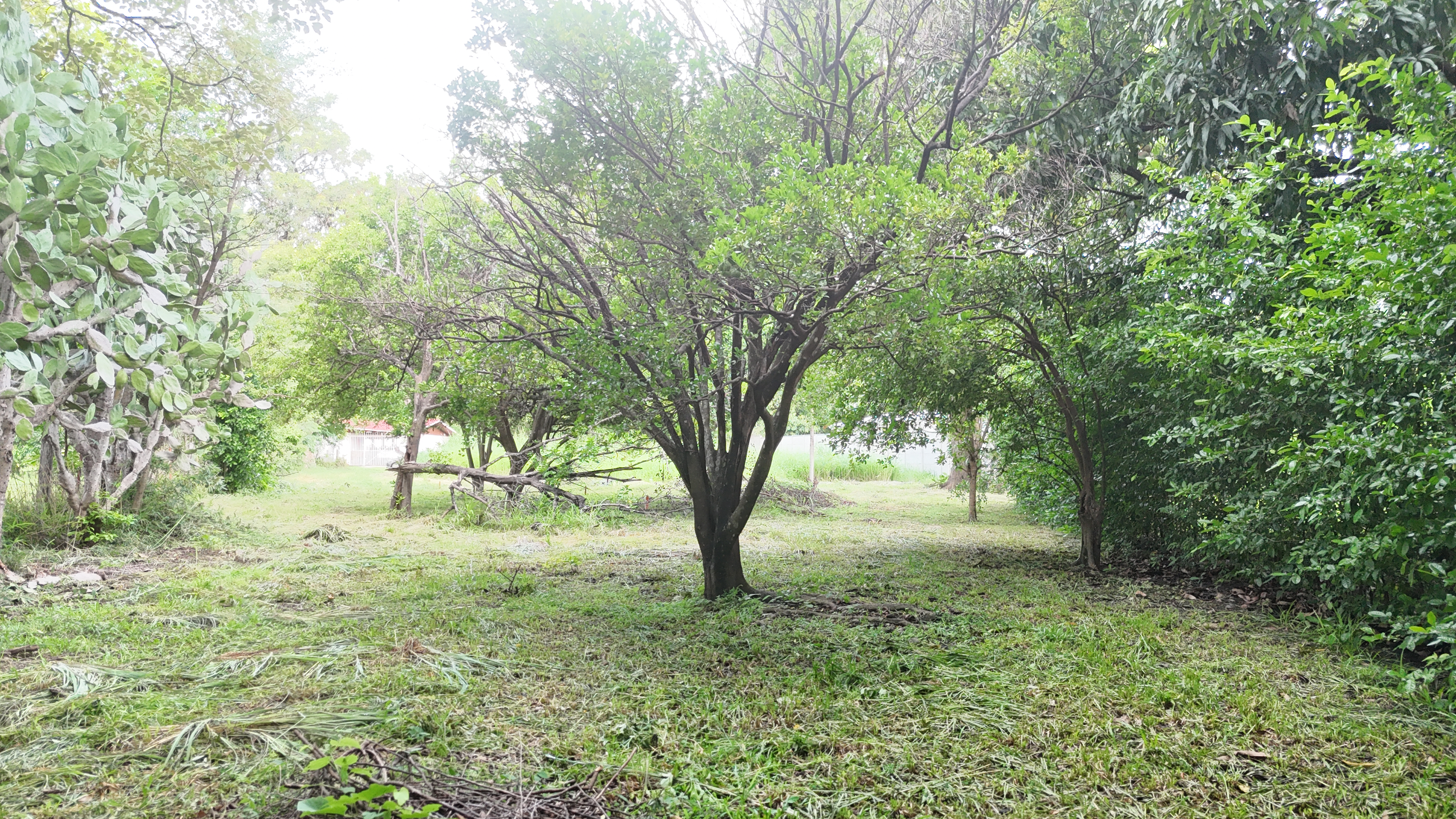 SE VENDE LOTE - LA CARAÑA  | LIBERIA