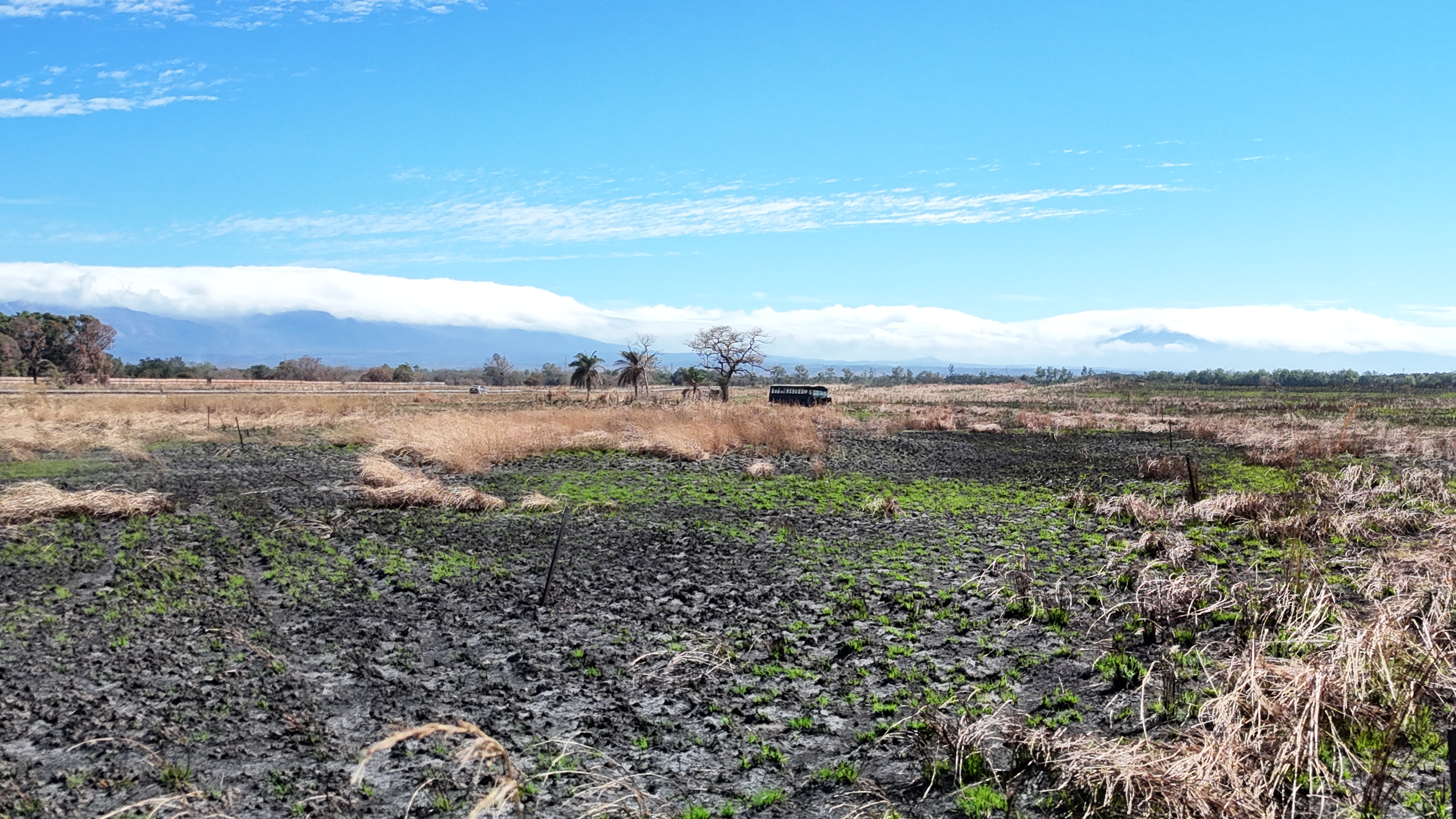 TERRENO DE 1,6 HECTARES EN VENTA - LIBERIA
