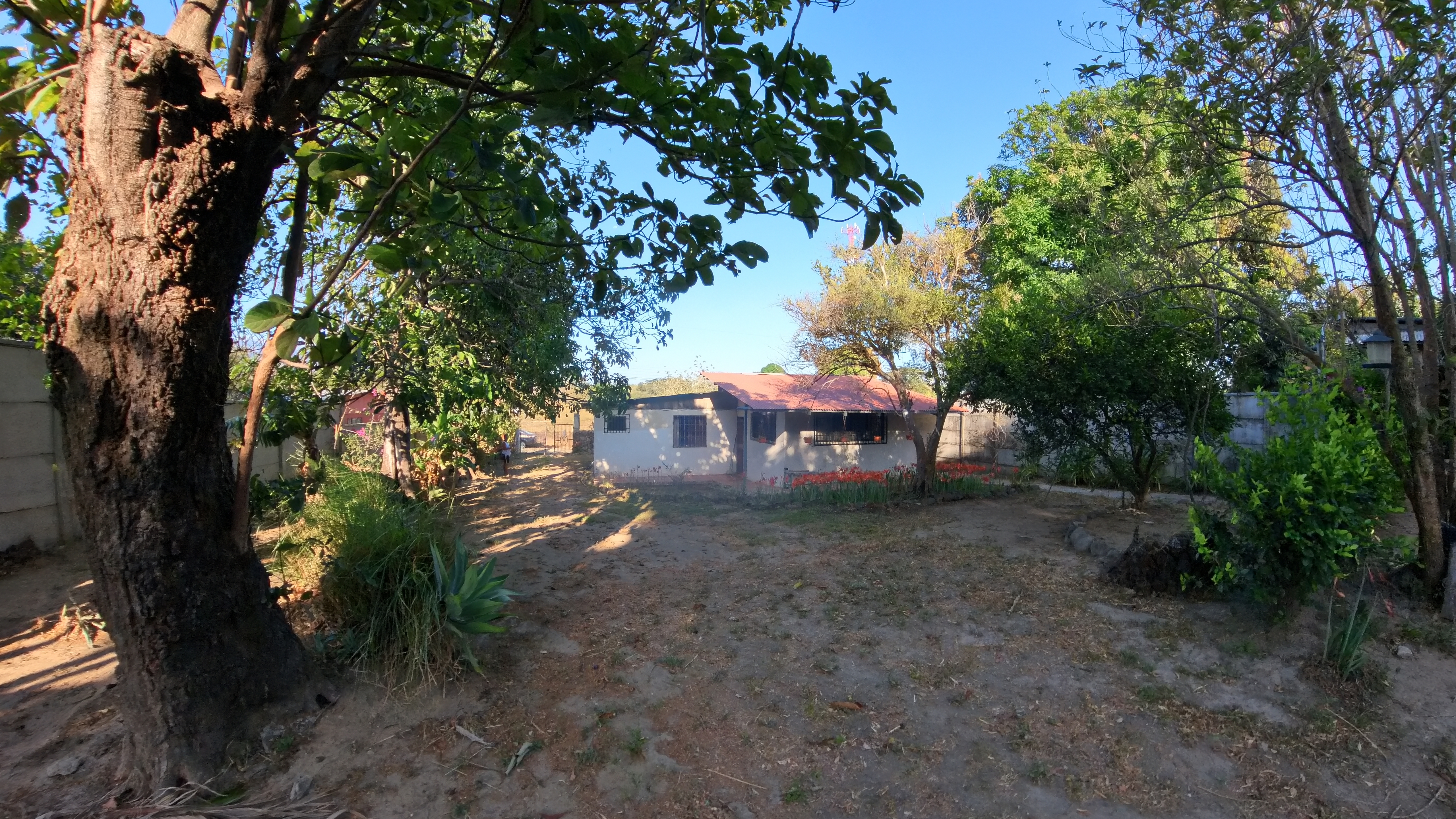 CASA EN VENTA - CURUBANDE | LIBERIA