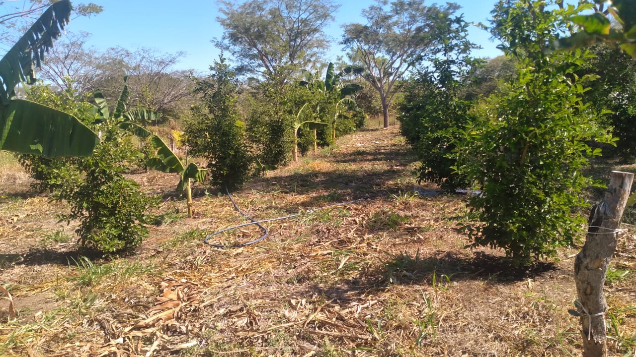 VENDO TERRENO - LIBERIA , Guanacaste, Costa Rica