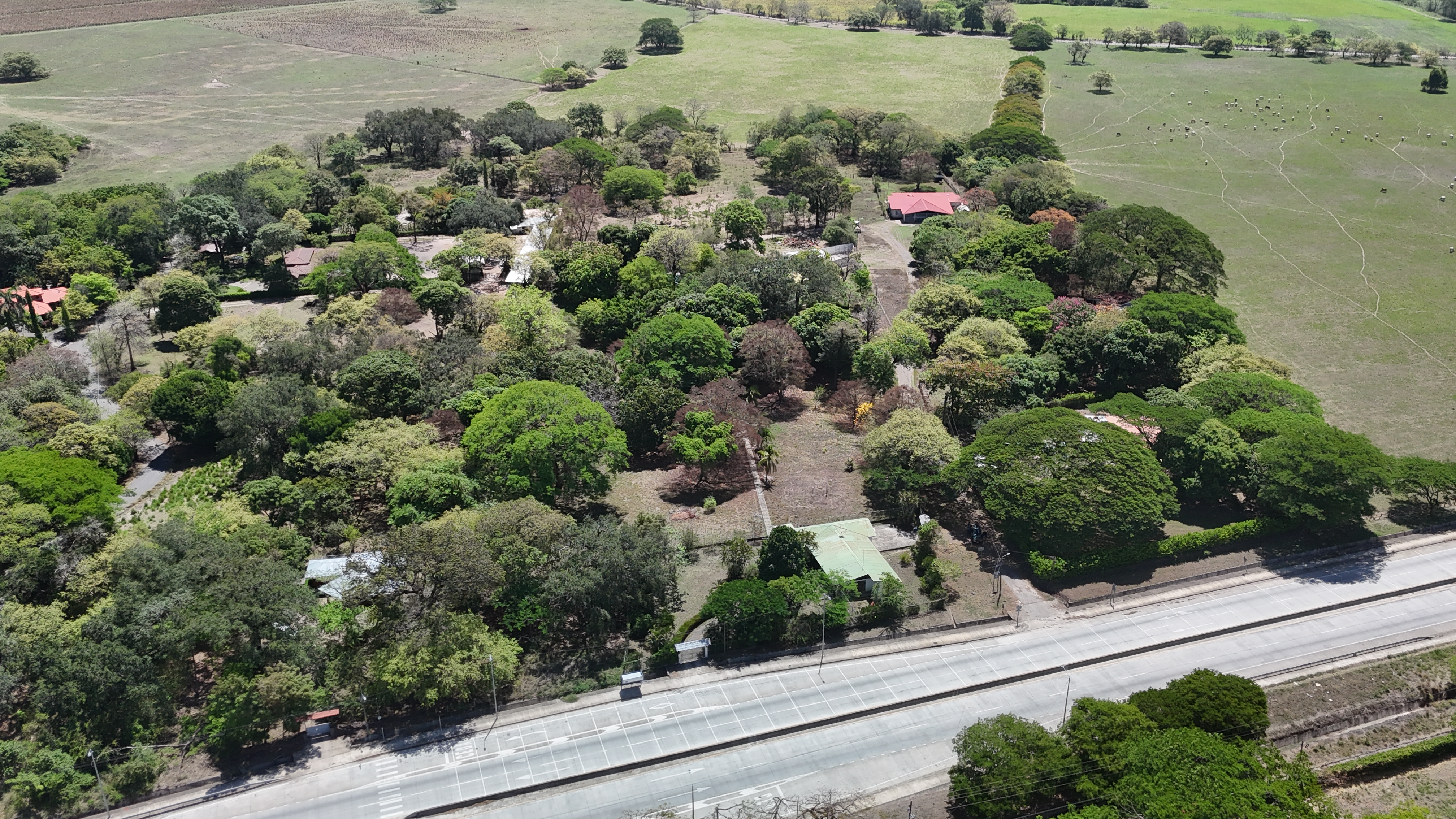 VENDO LOTE - LA CARAÑA | LIBERIA