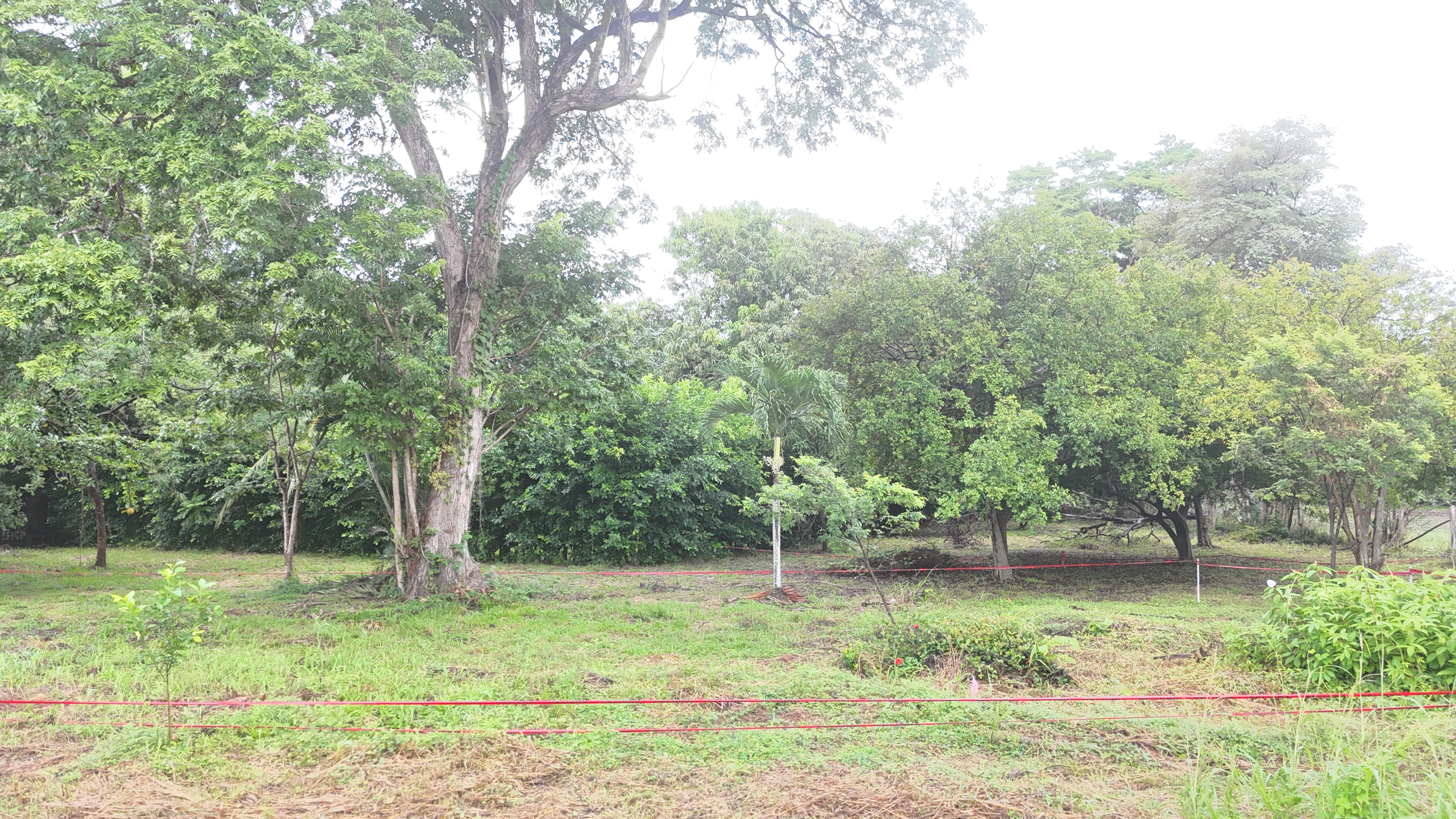 VENDO LOTE - LA CARAÑA | LIBERIA