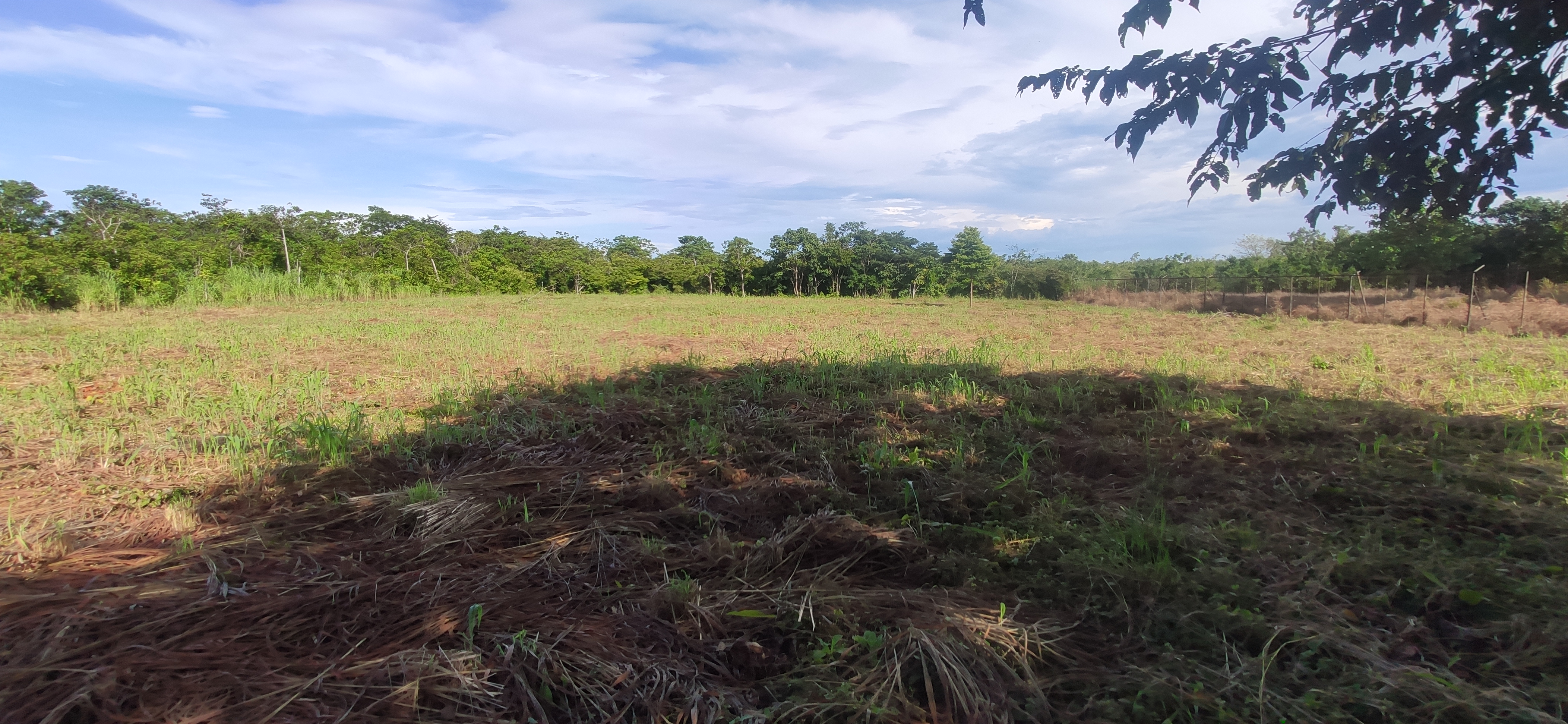 Lote en venta, MG, La Flor, Liberia, Guanacaste
