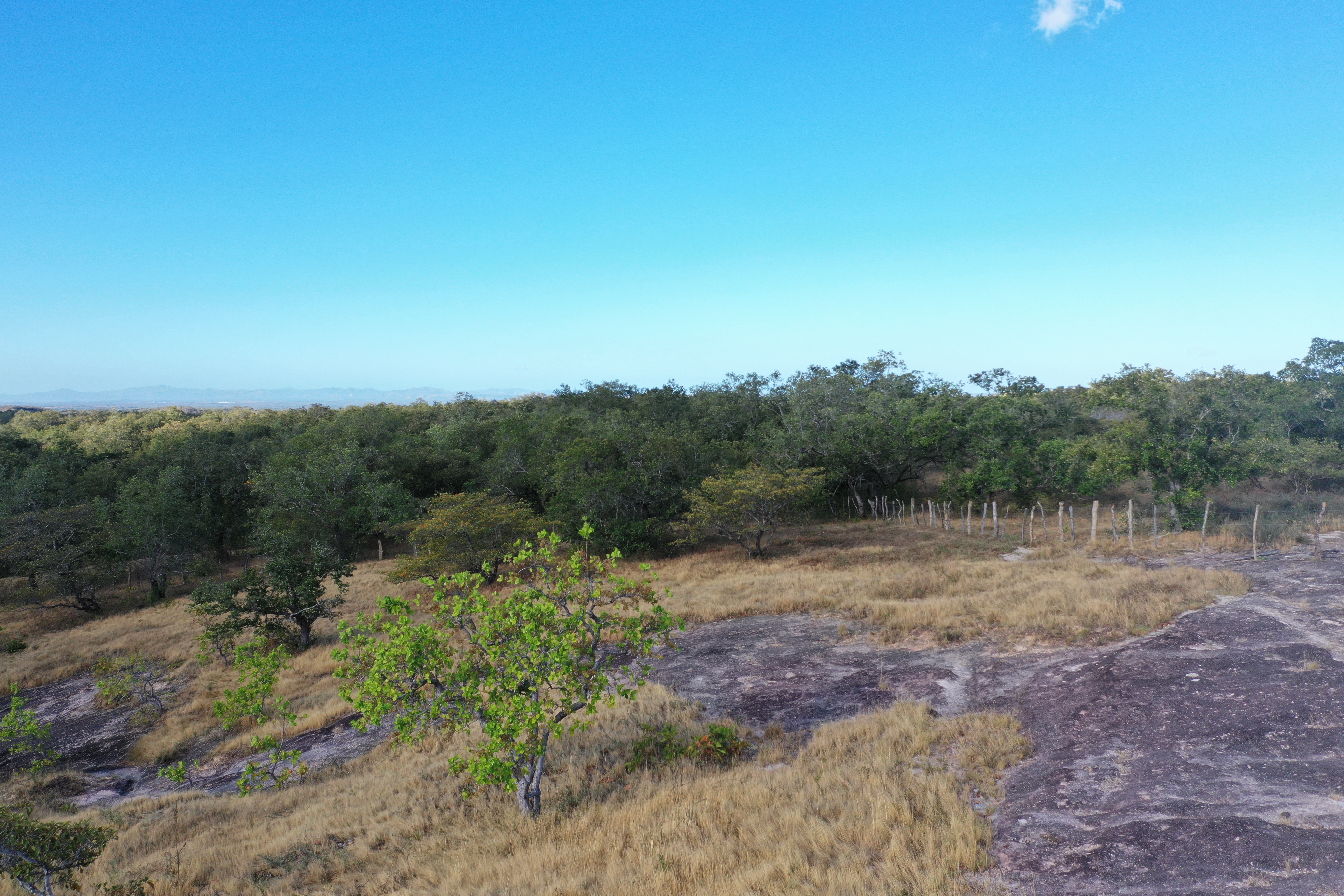 FARM FOR SALE - CURUBANDE | LIBERIA