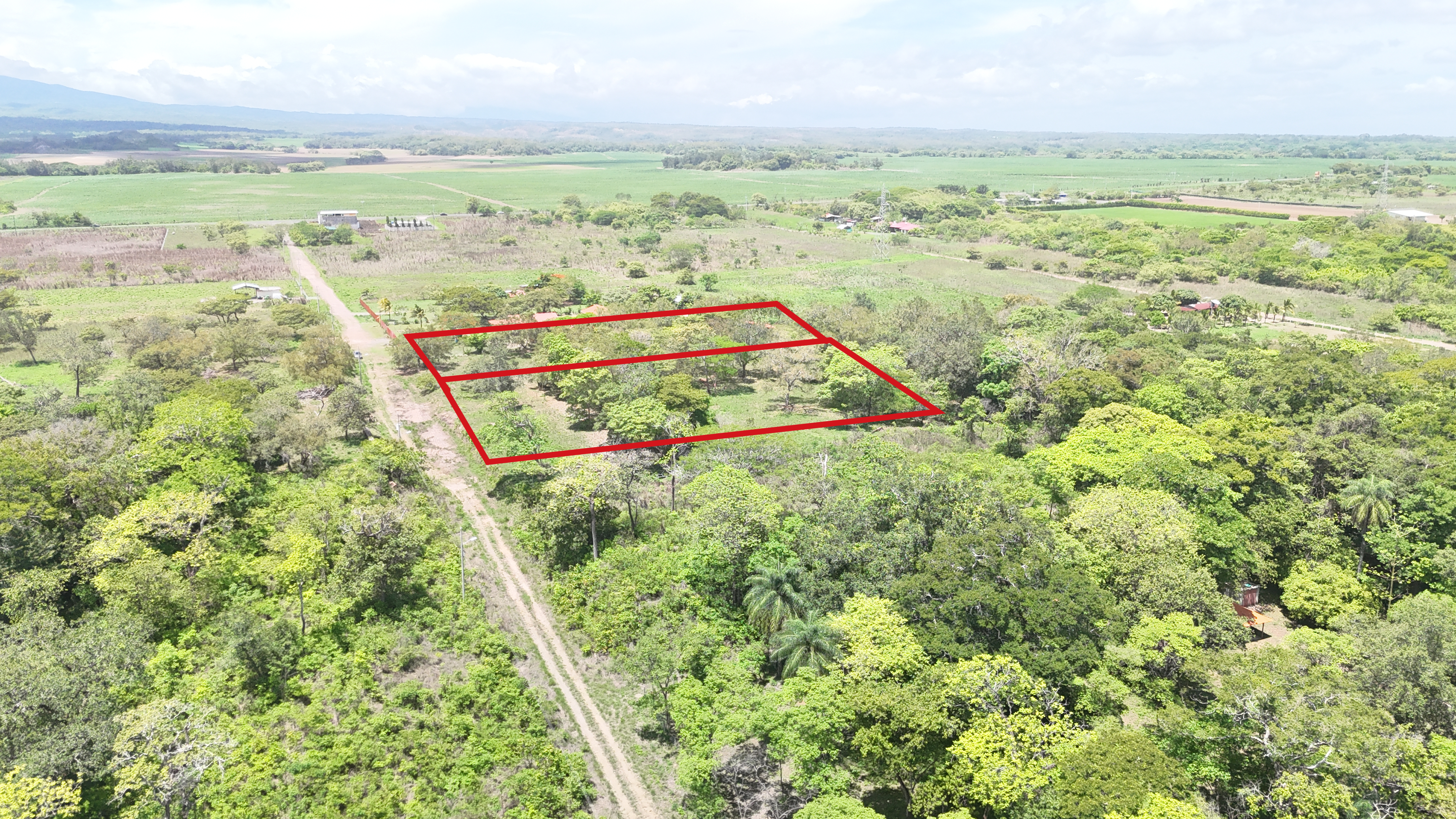 VENDO TERRENOS 5,000 m² - CAÑAS DULCES | LIBERIA