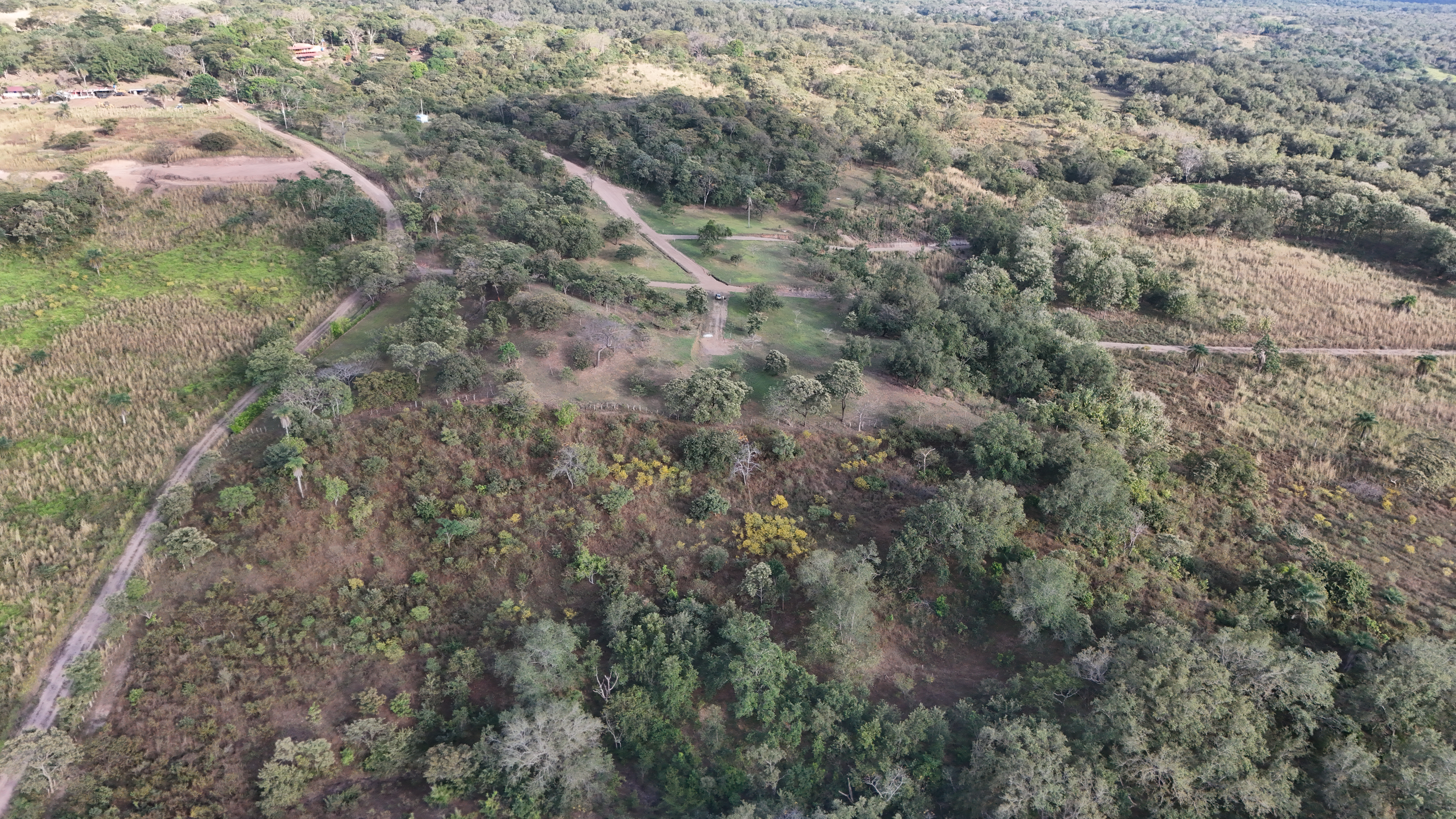 VENDO TERRENOS DE 5000m² - CAÑAS DULCES | LIBERIA